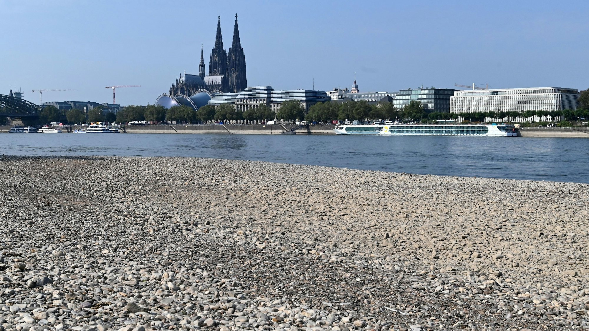 Zu sehen ist das zu Teilen freigelegtes Flussbett des Kölner Rheinufers. Im Hintergrund befindet sich der Kölner Dom.