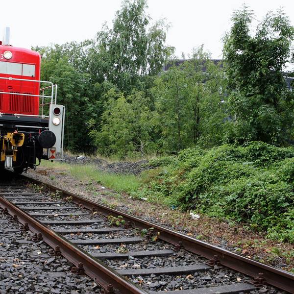 Das Foto zeigt einen Güterzug auf der Bahndammtrasse in Bergisch Gladbach.