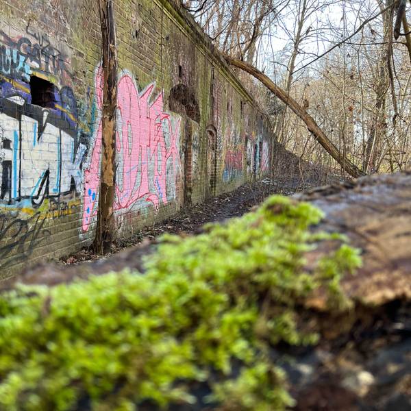 Das Zwischenwerk IXa in Westhoven soll vor Unbefugten gesichert und für Führungen begehbar sein.