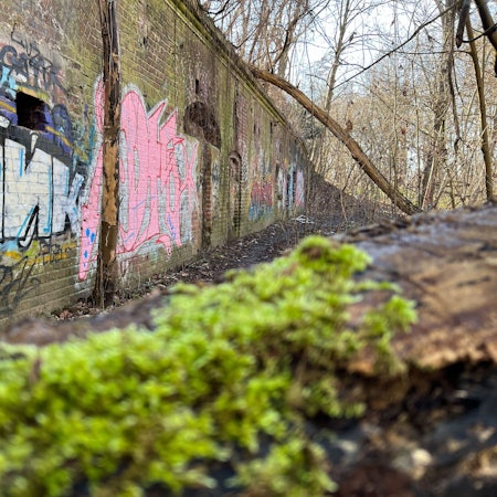Das Zwischenwerk IXa in Westhoven soll vor Unbefugten gesichert und für Führungen begehbar sein.