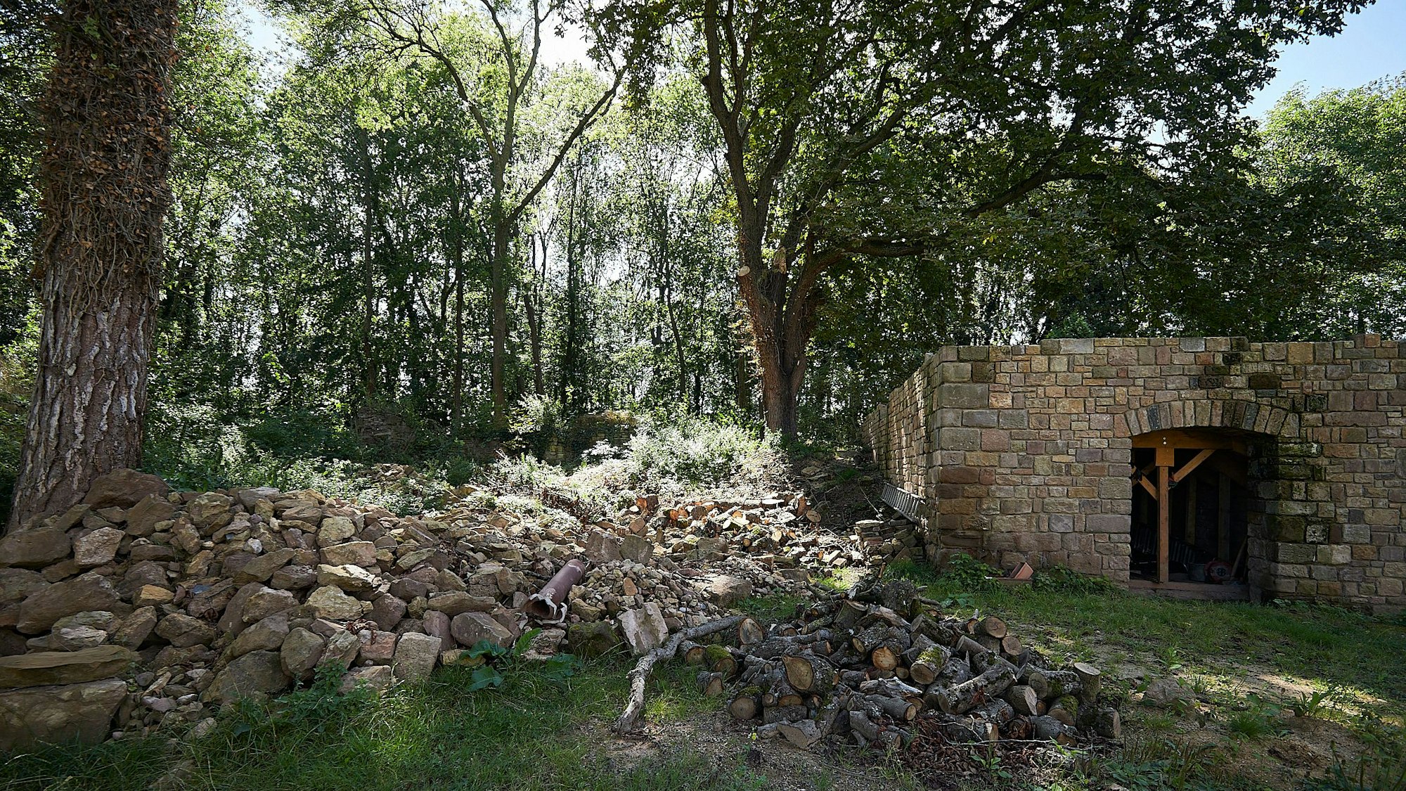 Ein Blick in den zum Teil noch desolaten Innenhof, im Hintergrund ist Wald zu erkennen.
