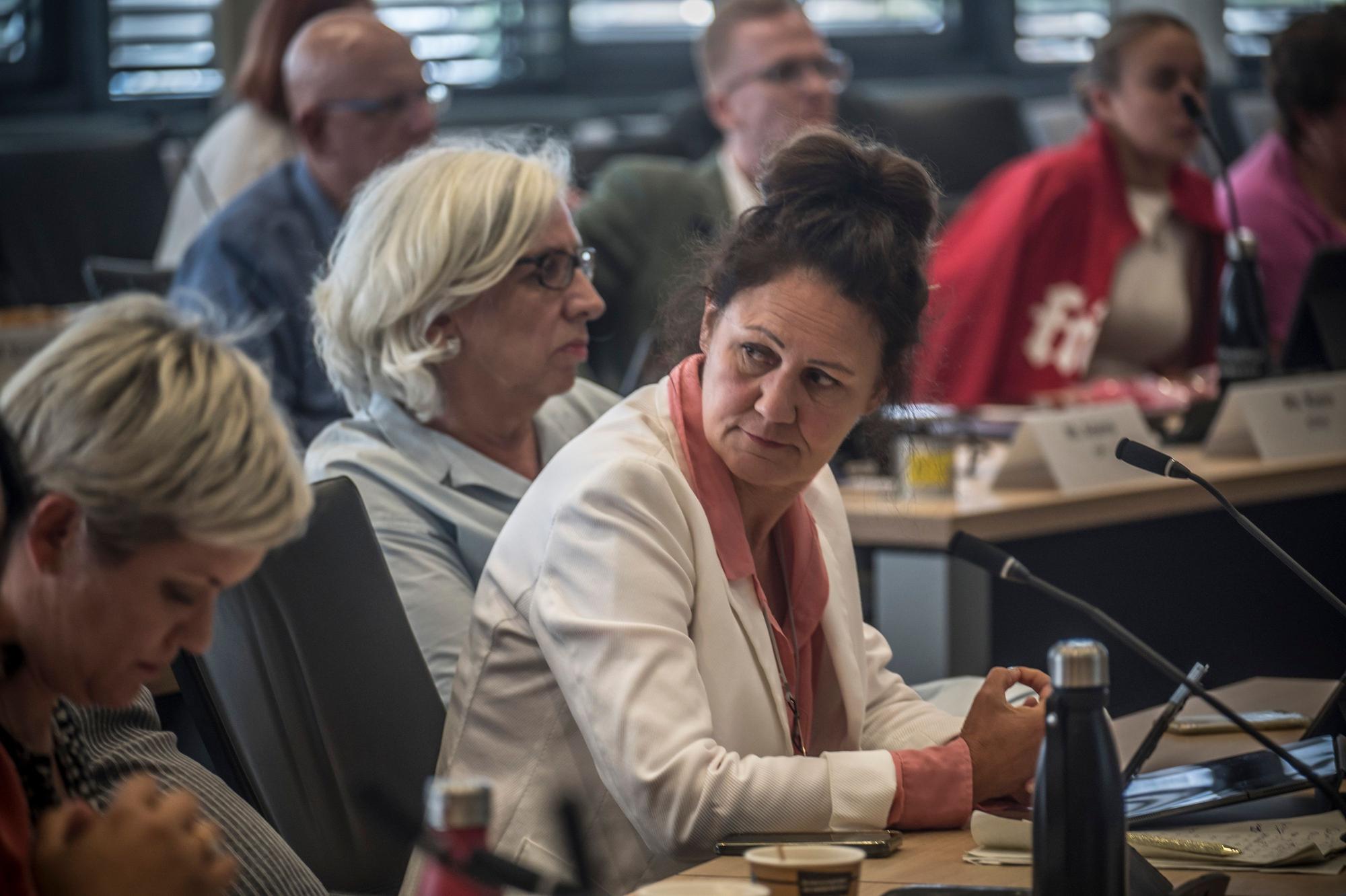 Claudia Wiese, Fraktionsvorsitzende der Grünen.
