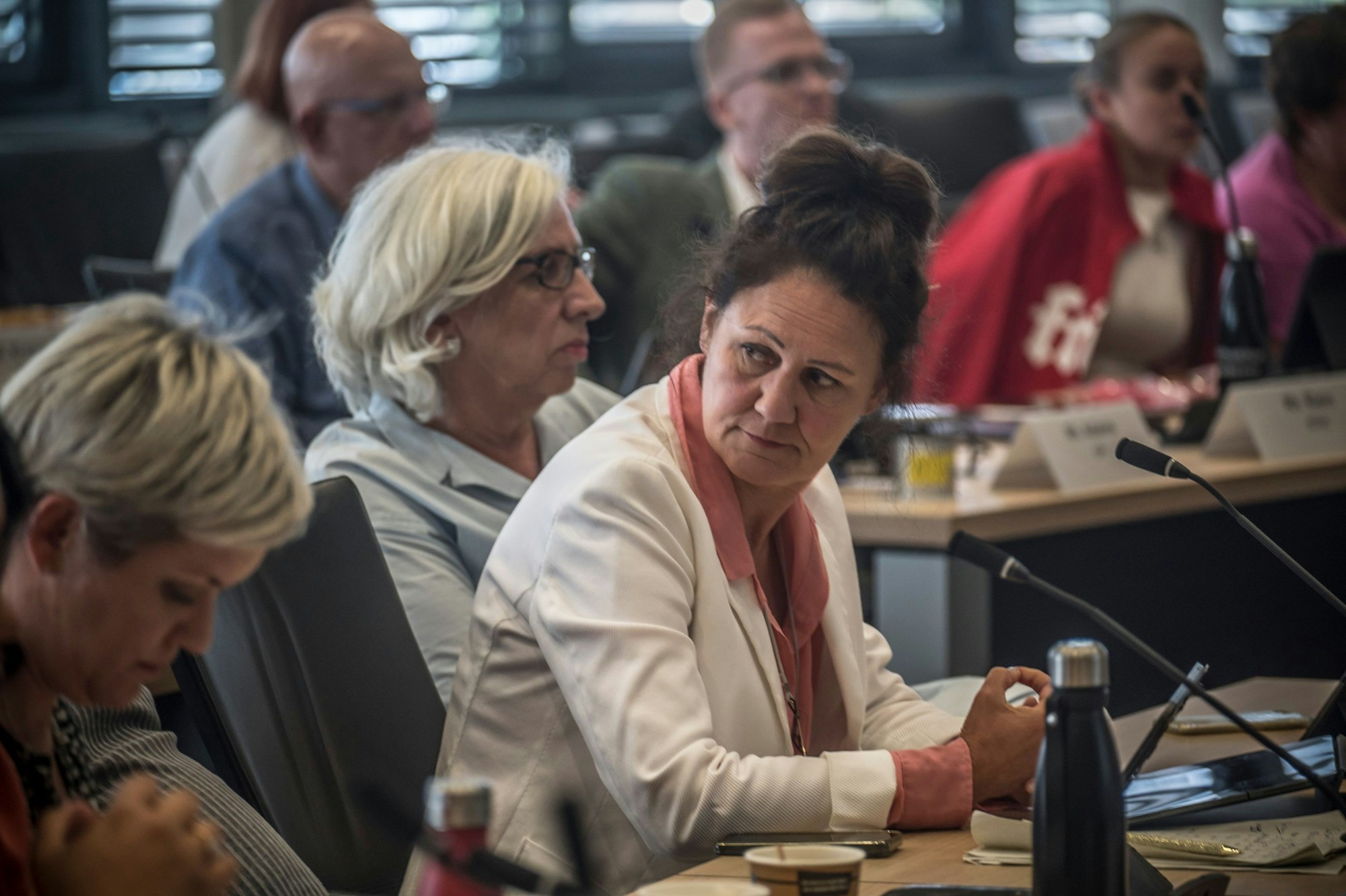 Claudia Wiese, Fraktionsvorsitzende der Grünen.