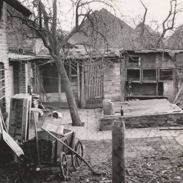 Der Metzgermord aus "Köln in Trümmern - True Ctime von 1944 bis 1949" von Helmut Frangenberg. Hier die Jauchegrube hinterm Haus