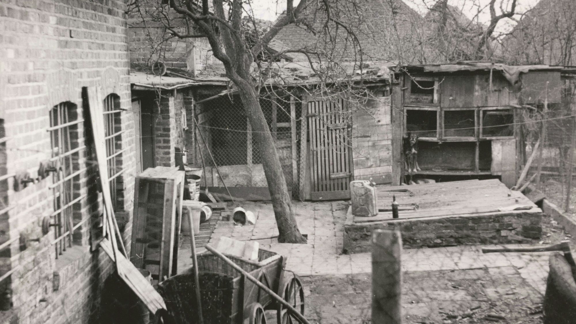 Der Metzgermord aus "Köln in Trümmern - True Ctime von 1944 bis 1949" von Helmut Frangenberg. Hier die Jauchegrube hinterm Haus