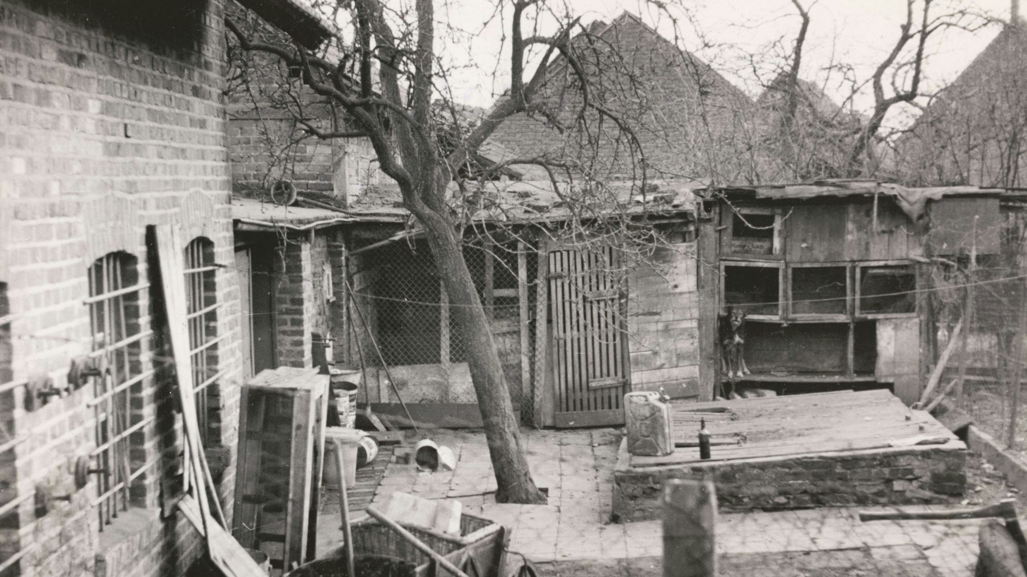 Der Metzgermord aus "Köln in Trümmern - True Ctime von 1944 bis 1949" von Helmut Frangenberg. Hier die Jauchegrube hinterm Haus