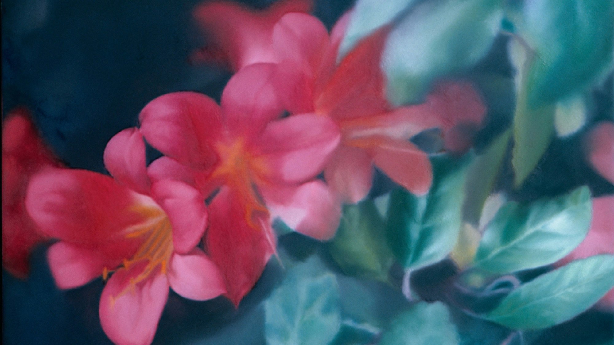 Rote Blüten in verschwommener Optik