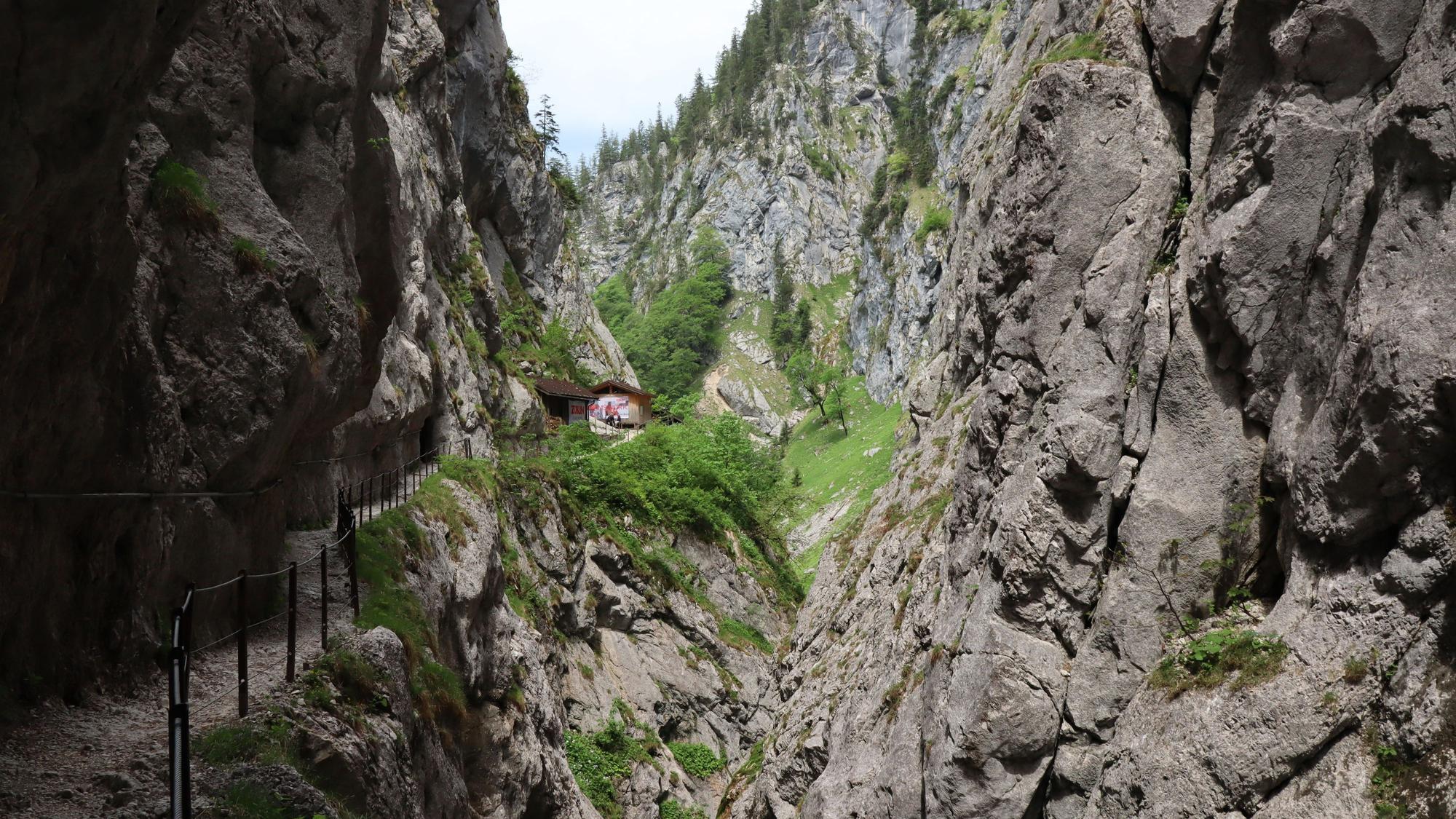 Der tödliche Unfall ereignete sich beim Abstieg in den Bergen rund um den Wolfgangsee. (Symbolbild)