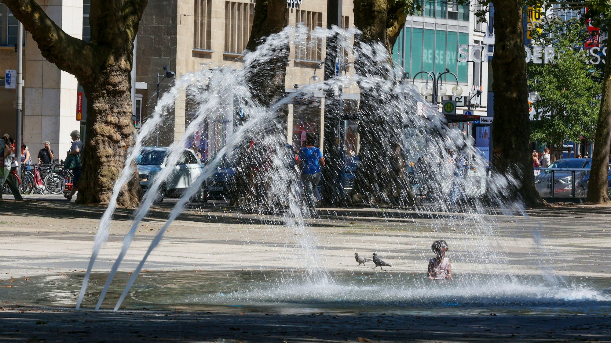 Auf dem Neumarkt findet von Freitag bis Sonntag ein Herbstfest statt. (Archivbild)