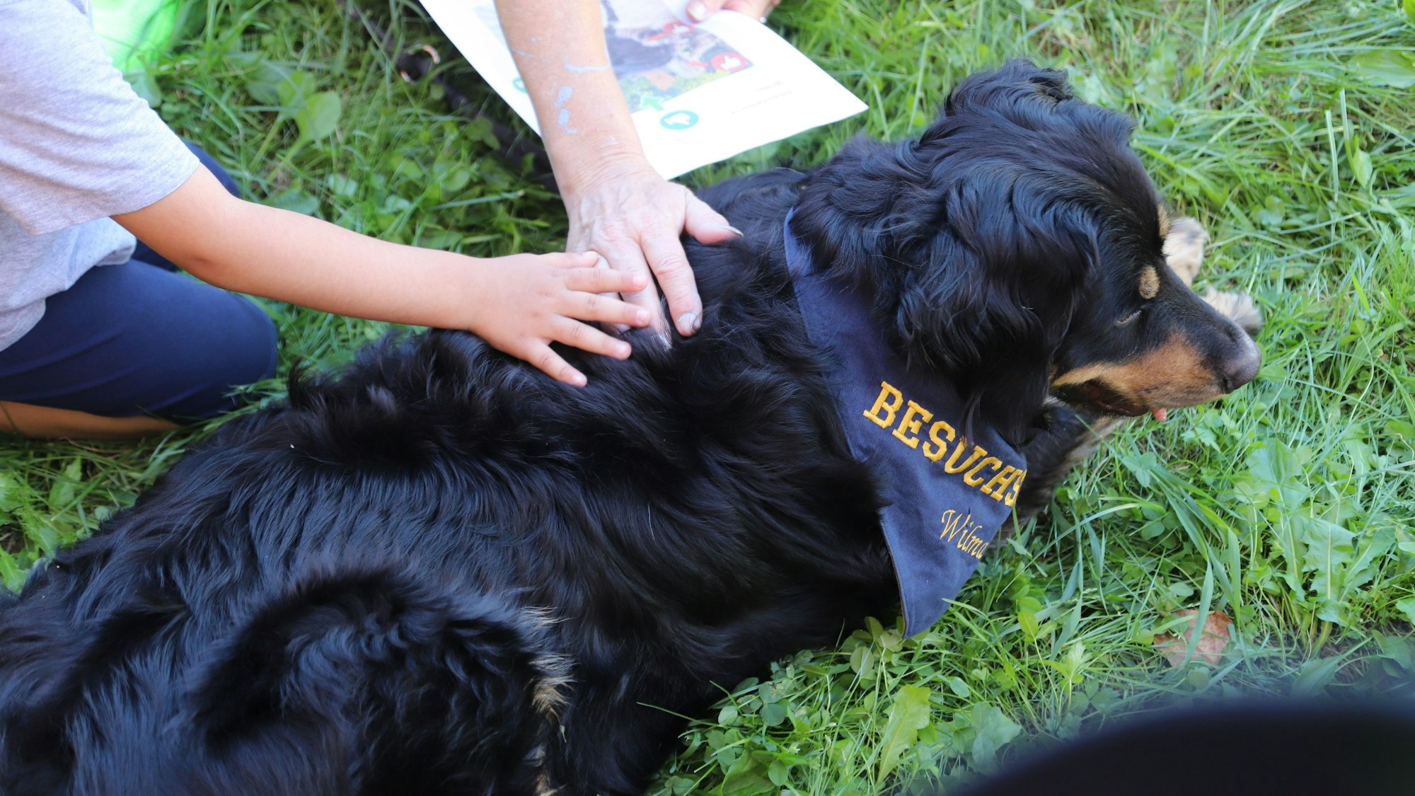 Ein Hund wird von zwei Menschen gestreichelt.