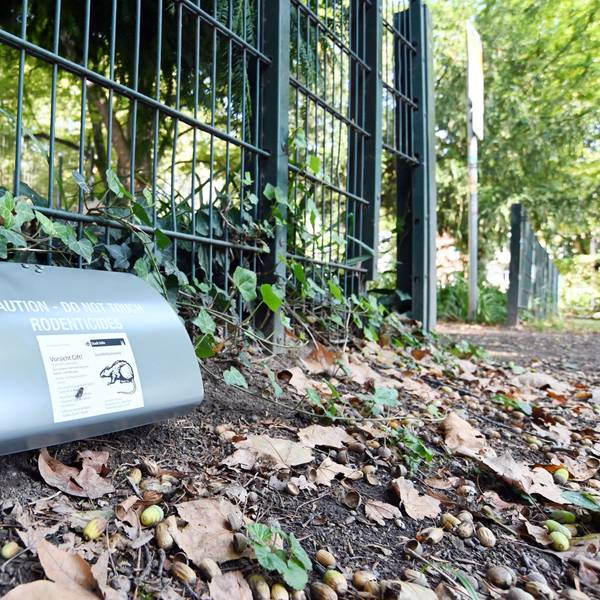 Eine graue Box liegt auf dem Parkboden, darauf sind Warnschriften