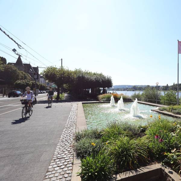 Radfahrer fahren an einem sprudelnden Brunnen vorbei, rechts am Rheinufer wehen Flaggen im Wind.