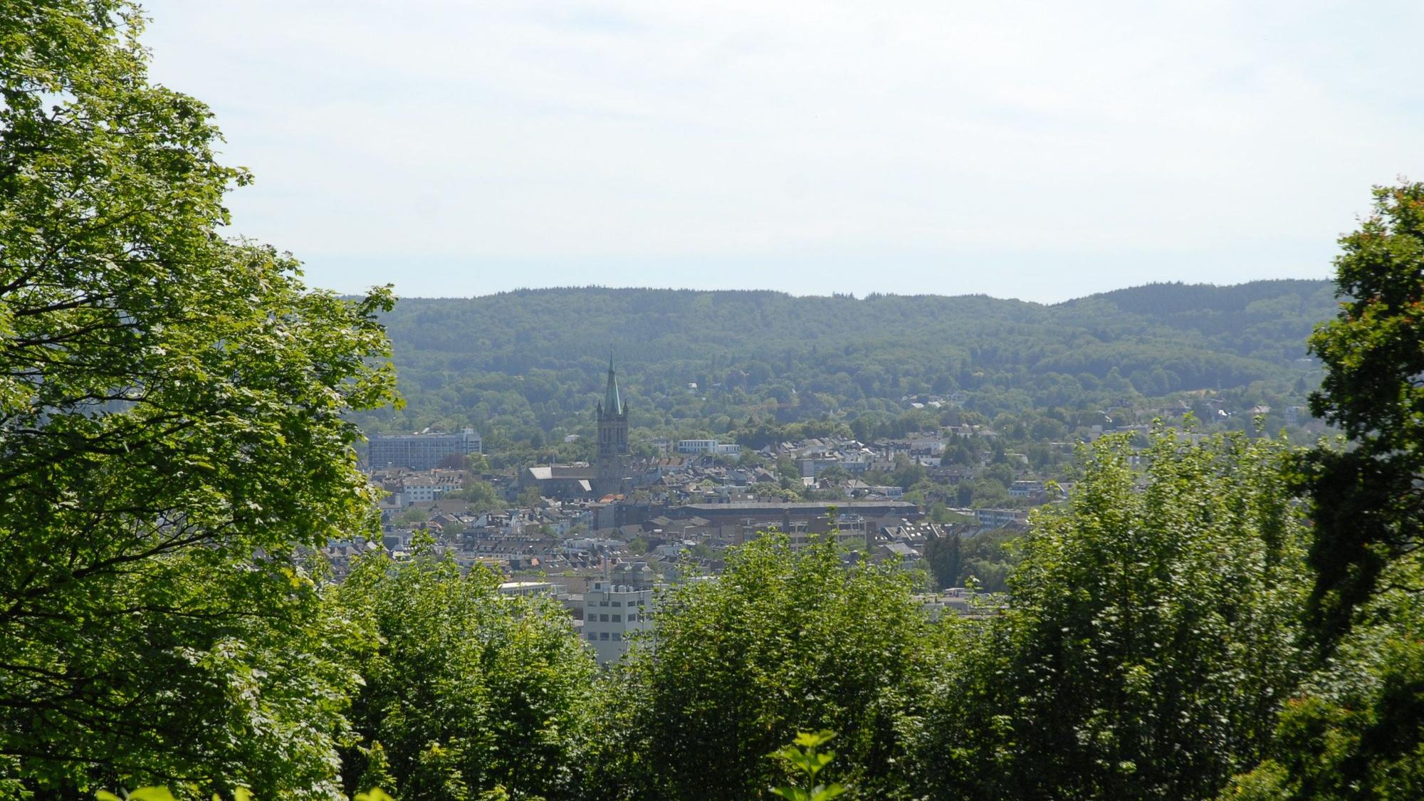 Zwischen Bäumen hindurch ist ein Ausblick von oben auf eine Stadt zu sehen.