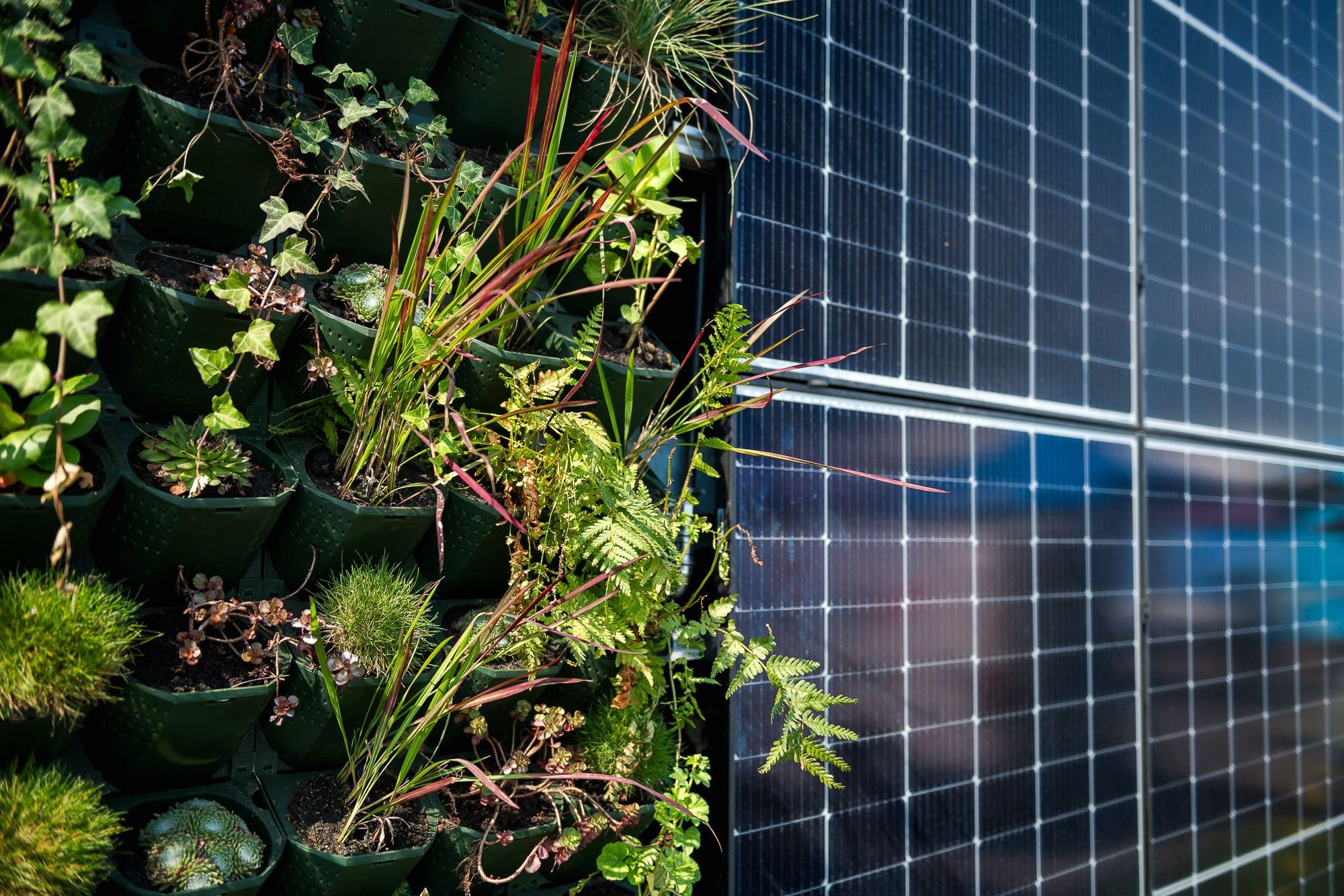 Die begrünte Fassade und Photovoltaikmodule sollen einen Beitrag zum Klimaschutz leisten.