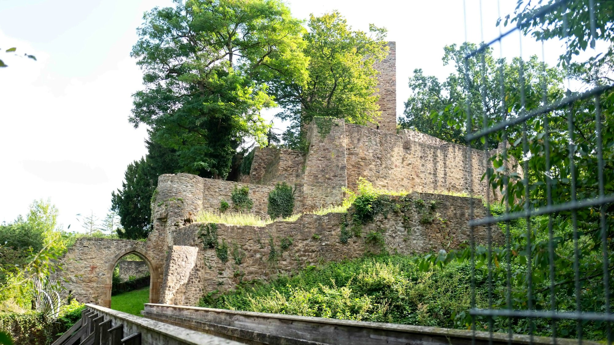 Blick auf Ruinen in einer grünen Umgebung