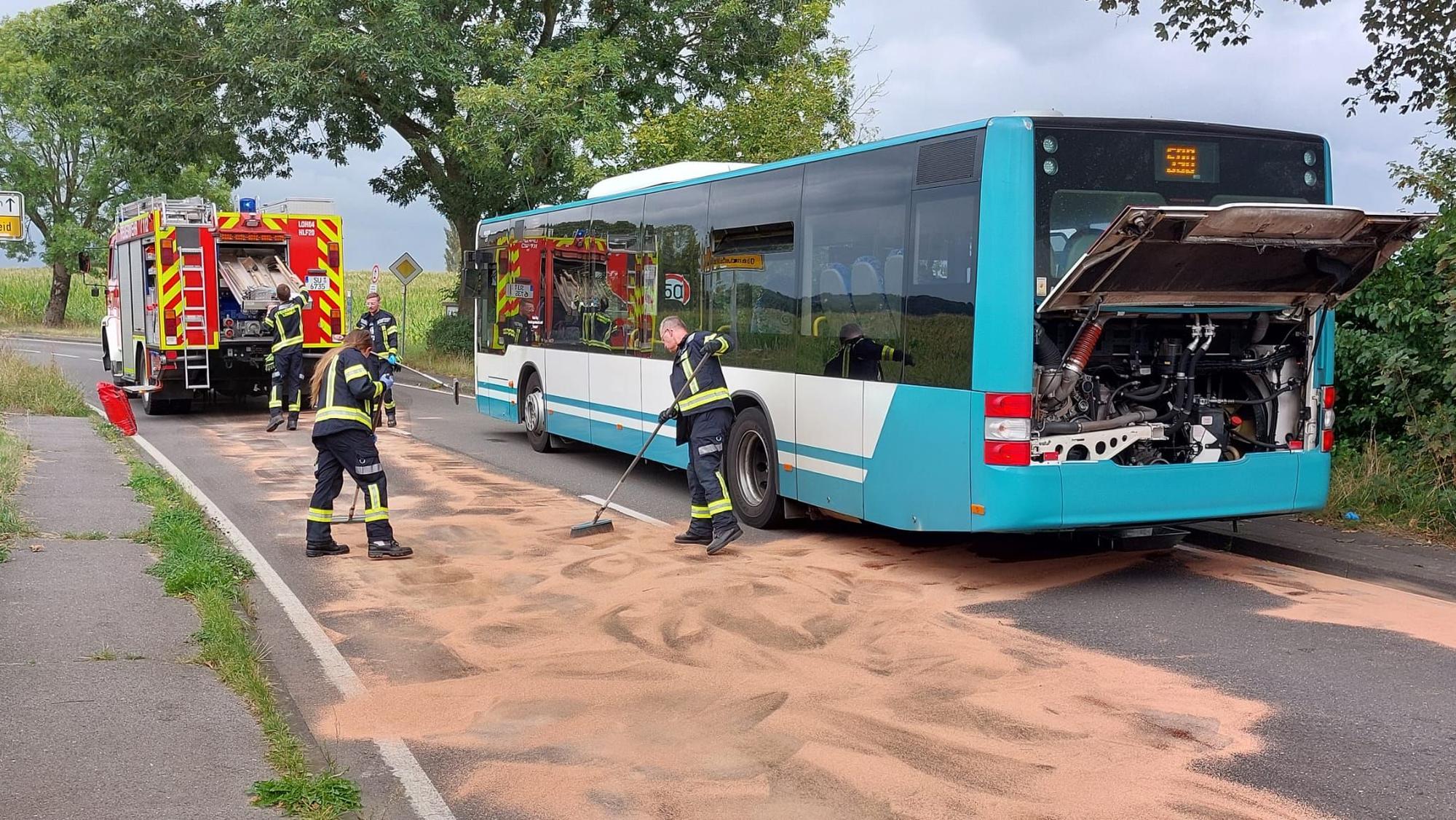 Feuerwehrleute fegen neben einem Linienbus.
