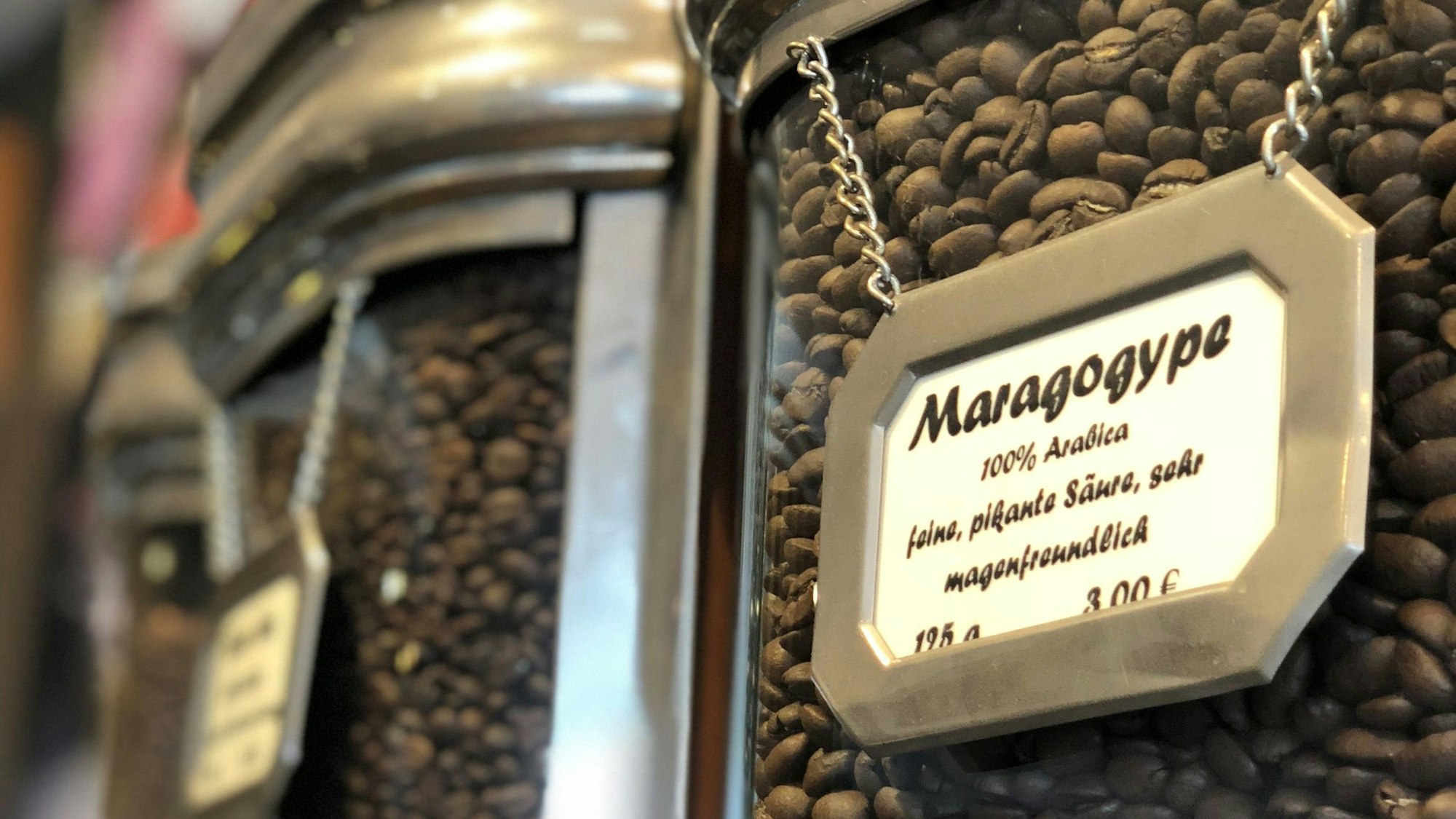 Kaffeebohnen in einem Gefäß, darauf ein Schild mit der Aufschrift „Maragogype“ und einer Beschreibung darunter.