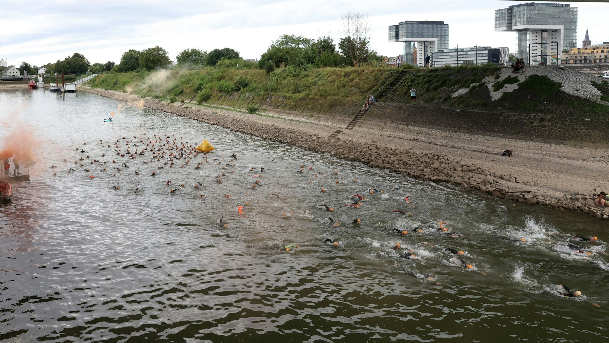 Athleten beim Kölner Triathlon 2024 schwimmen im Rhein.