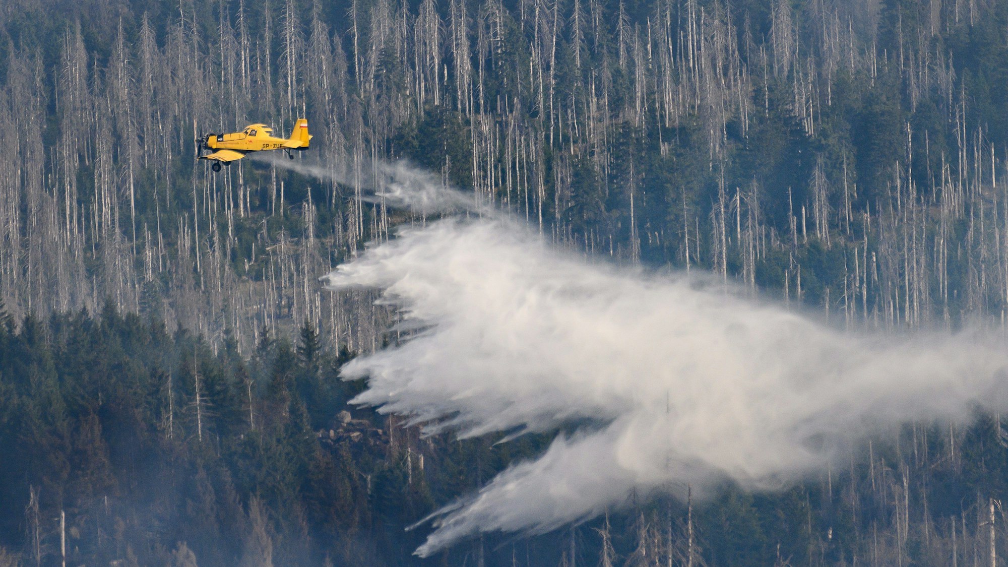 08.09.2024, Niedersachsen, Braunlage: Ein Löschflugzeug ist bei einem Waldbrand am Königsberg unterhalb vom Brocken im Harz im Einsatz. Foto: Swen Pförtner/dpa +++ dpa-Bildfunk +++