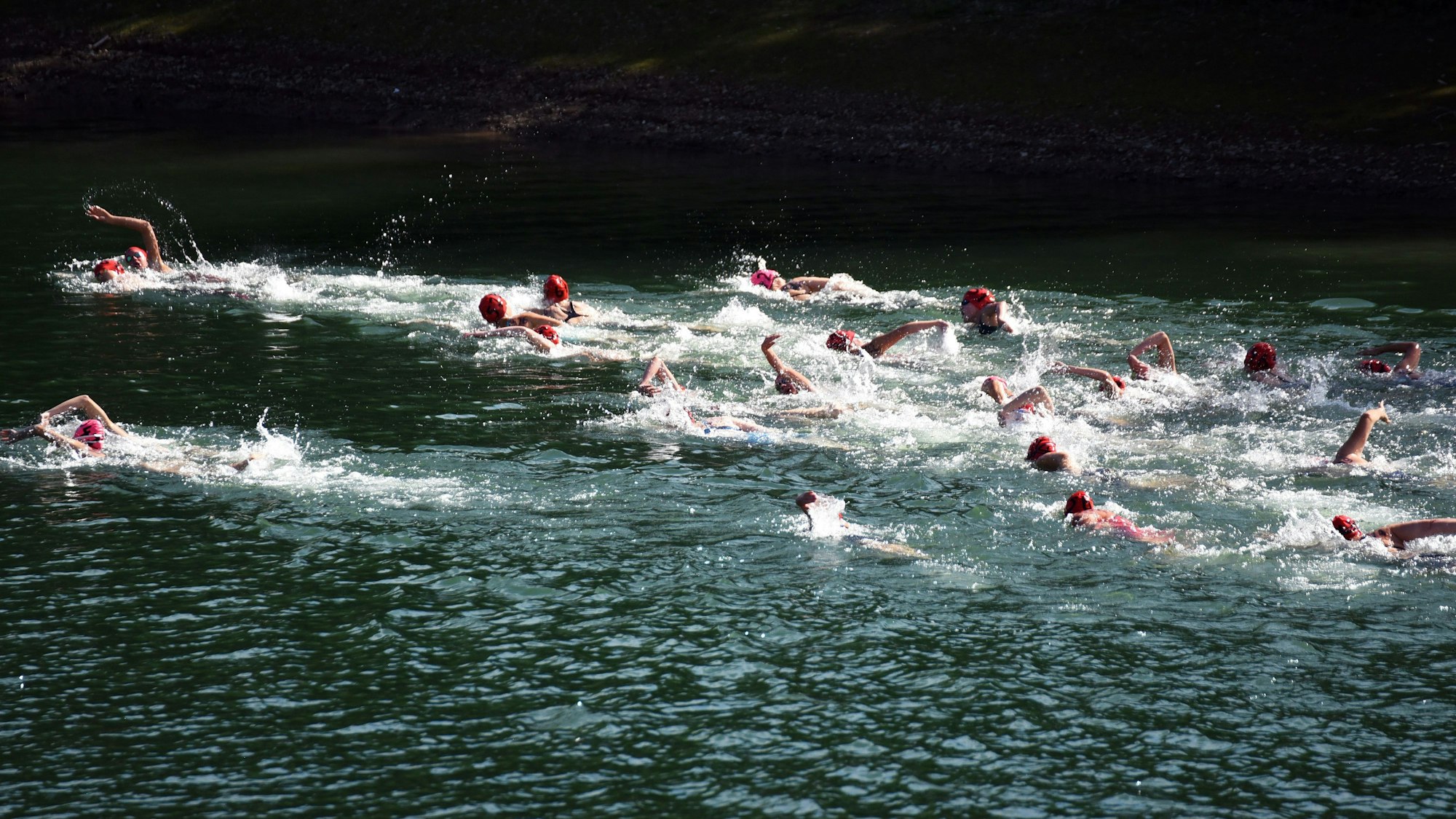 Zahlreiche Schwimmer bei einem Wettbewerb in einer Talsperre.