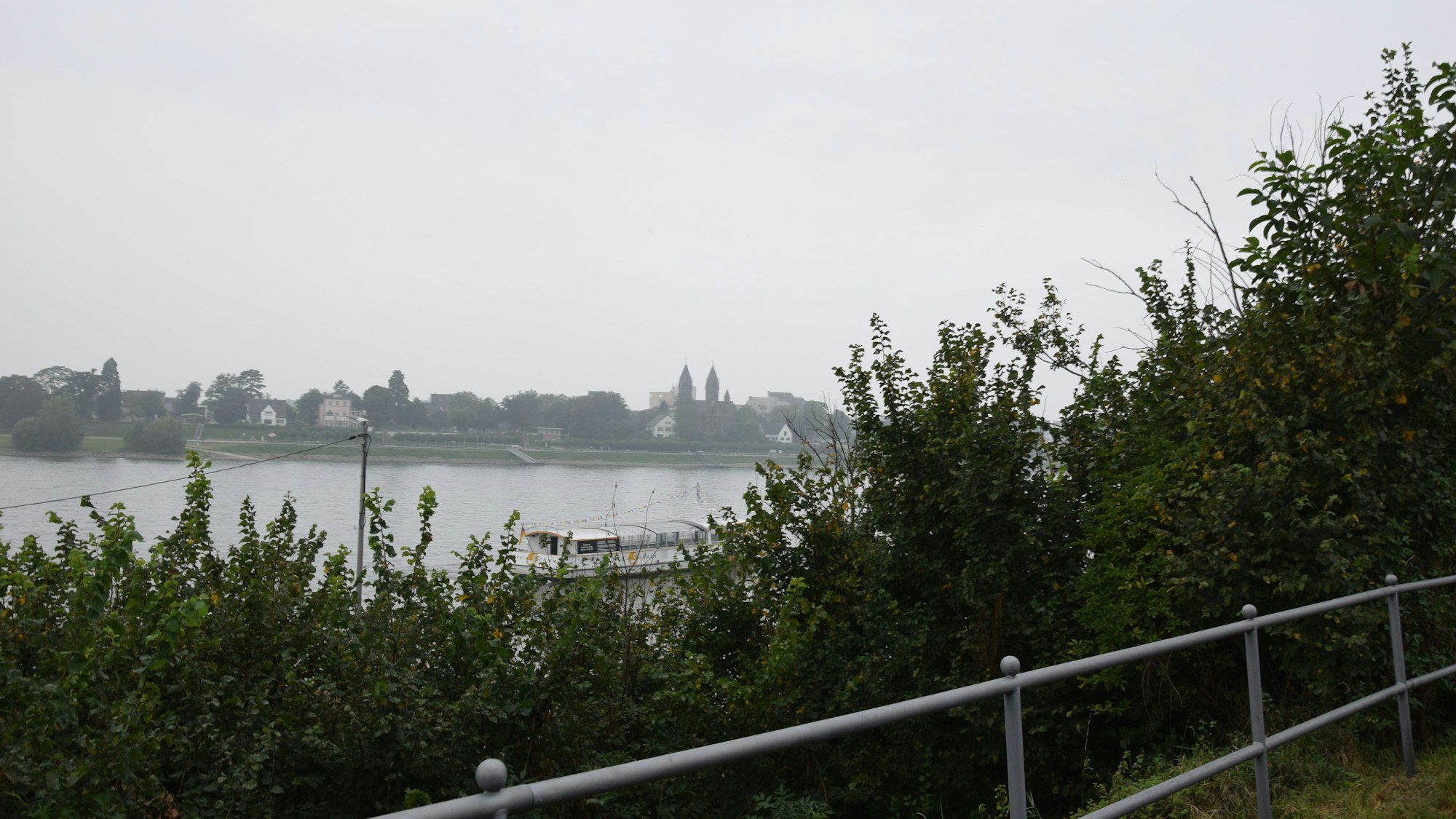 Blick auf Rhein hinter Gebüsch