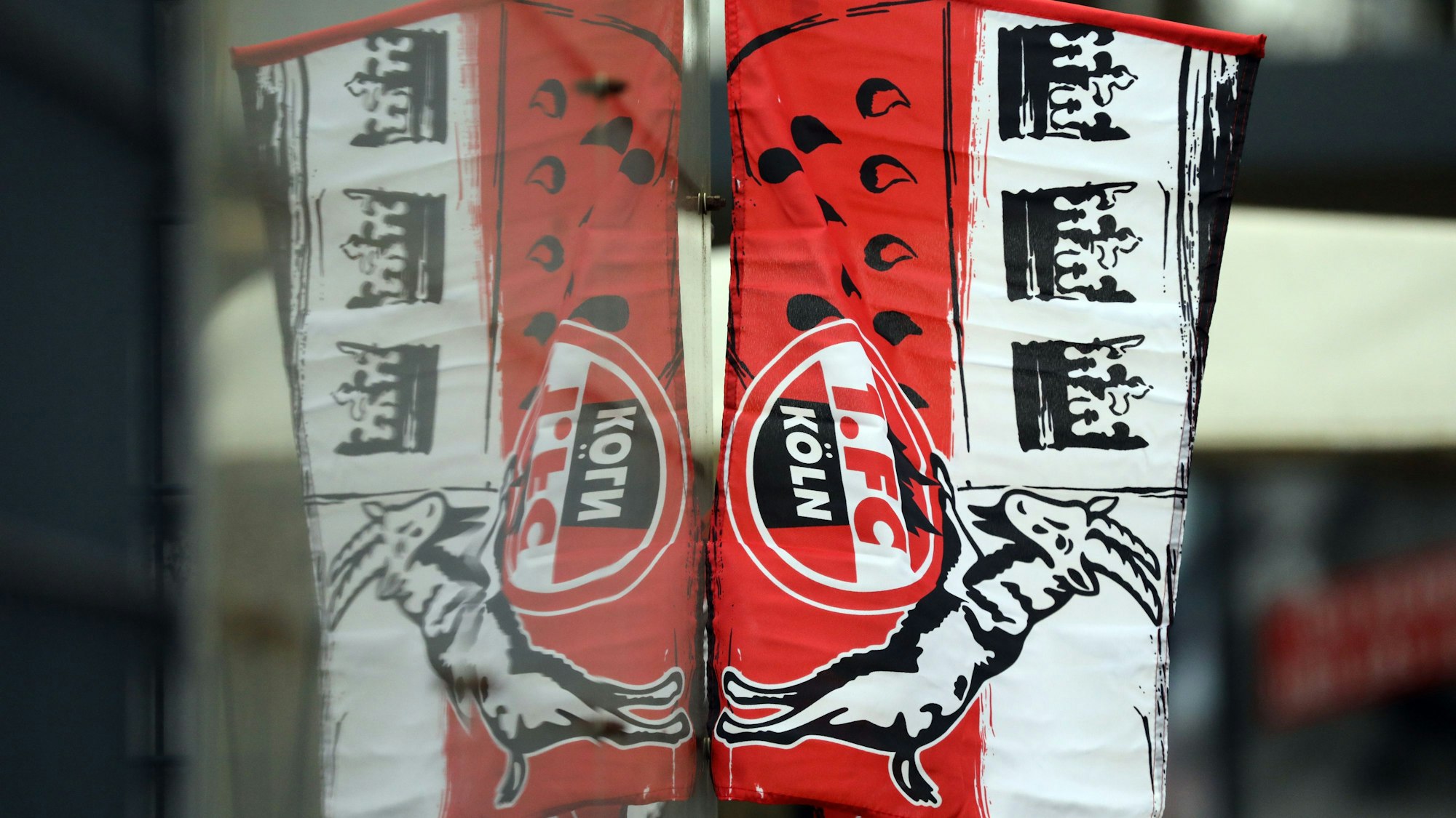Eine Fahne des 1. FC Köln hängt an einer Wand. (Symbolbild).