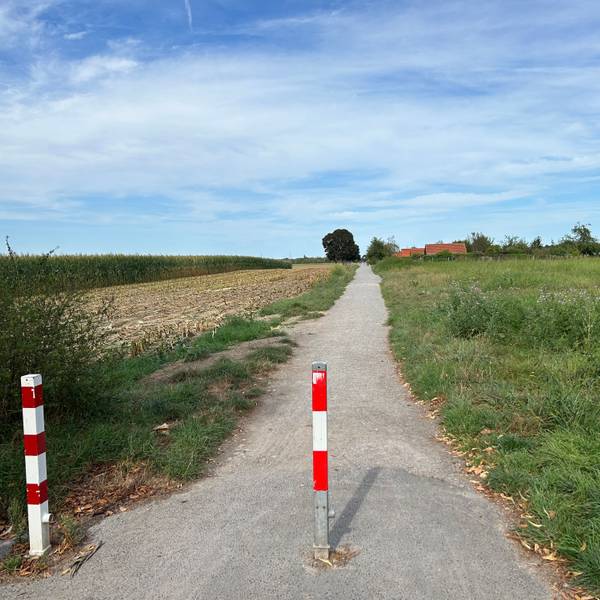 Grünfläche