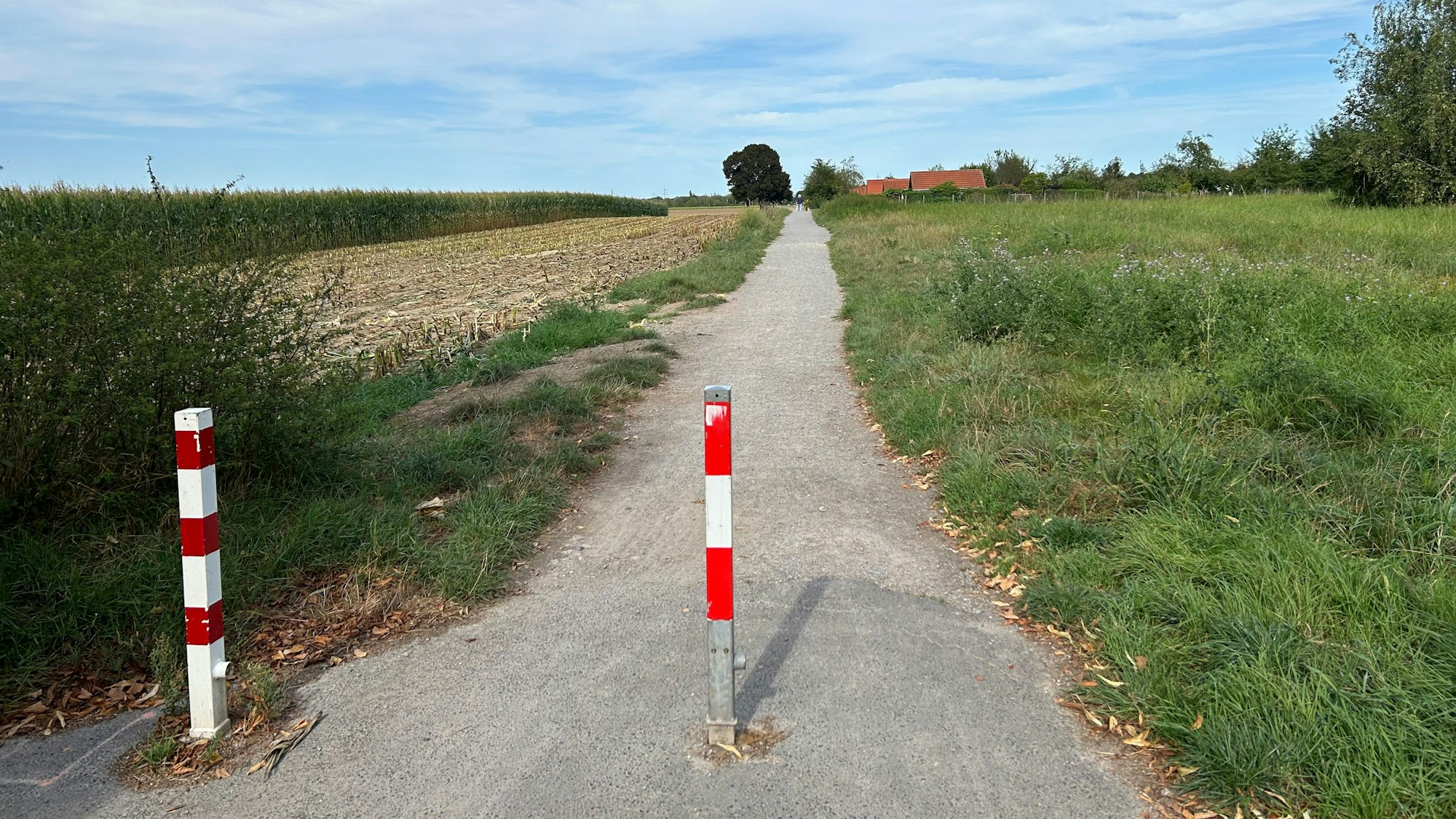 Grünfläche