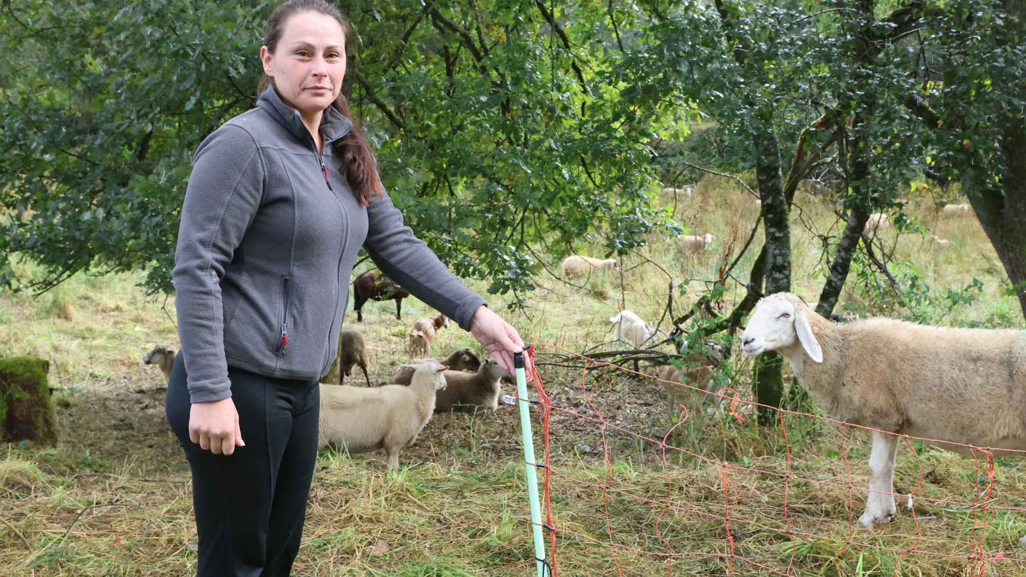Die Nümbrechter Schafzüchterin Eileen Feß am geöffneten Zaun: Von ihrer Weide im Morsbacher Warnsbachtal sind Schafe und Ziegen verschwunden. In der Nachbarschaft wurde zudem der Zaun an einer Alpaka-Weide geöffnet, das berichtet die Polizei.