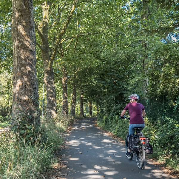 Eine Fahrradfahrerin fährt unter Bäumen.