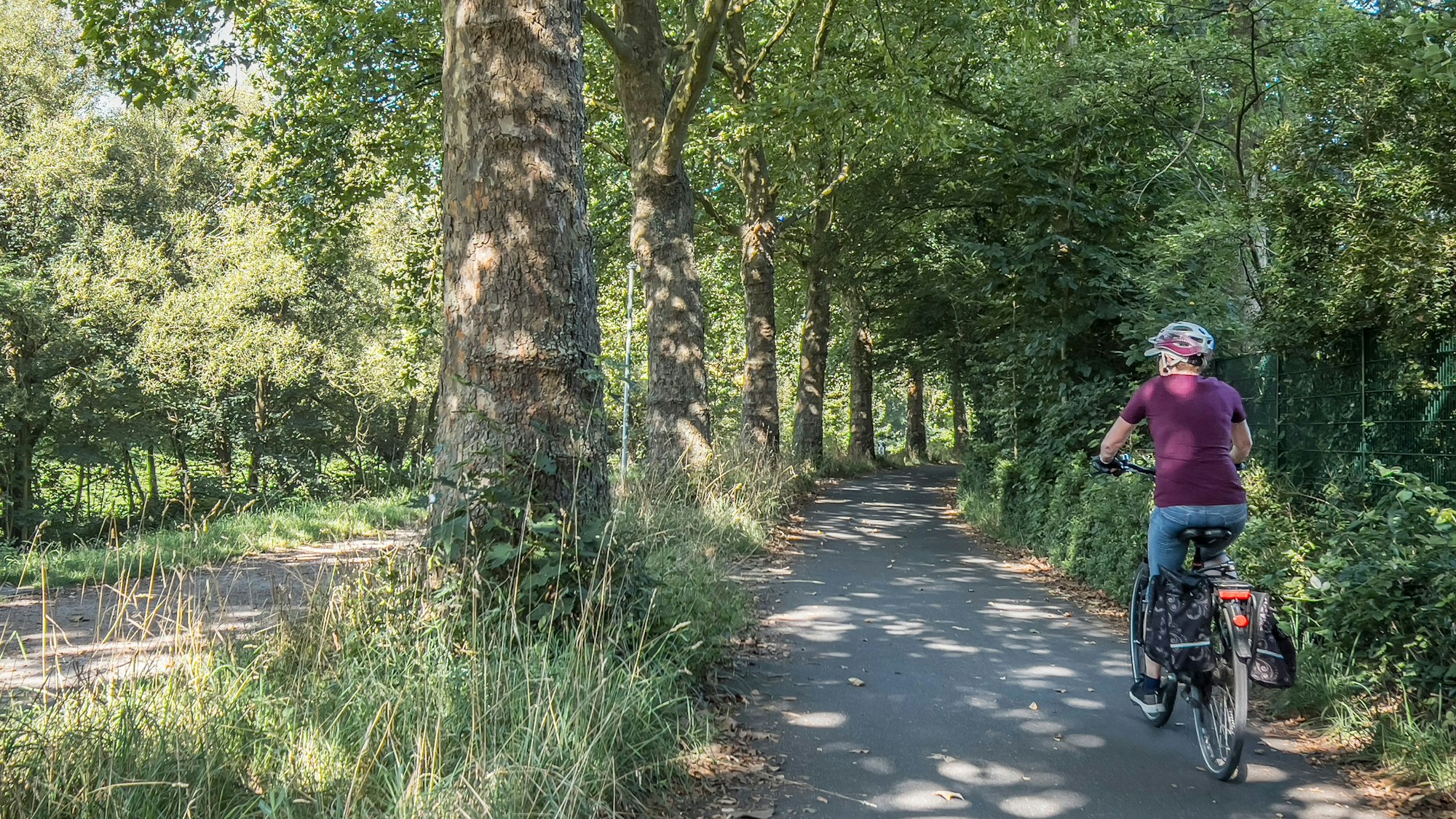 Eine Fahrradfahrerin fährt unter Bäumen.