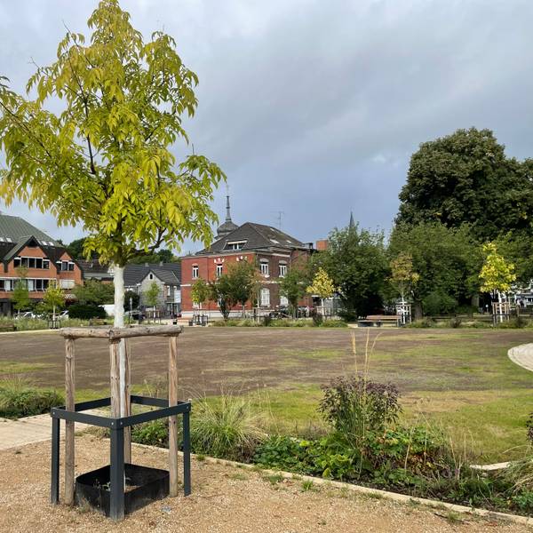 Park