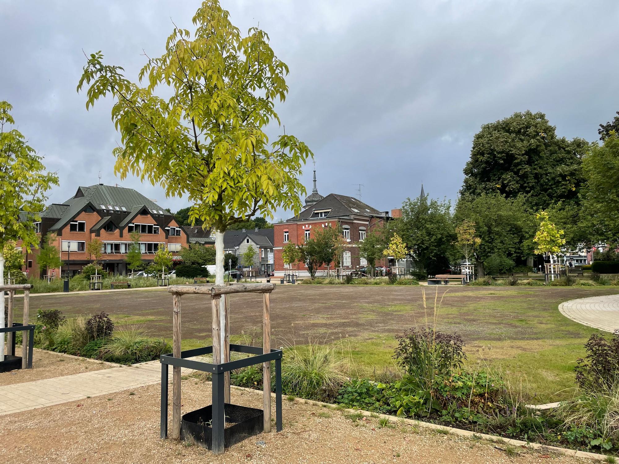 Im alten Stadtpark soll das große Zelt stehen.