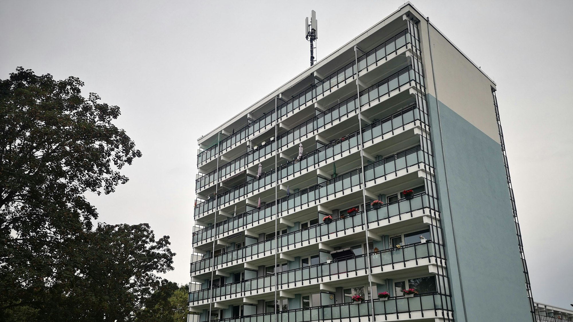 Ein Mehrfamilienhaus vor grauem Himmel. Links steht ein Baum.
