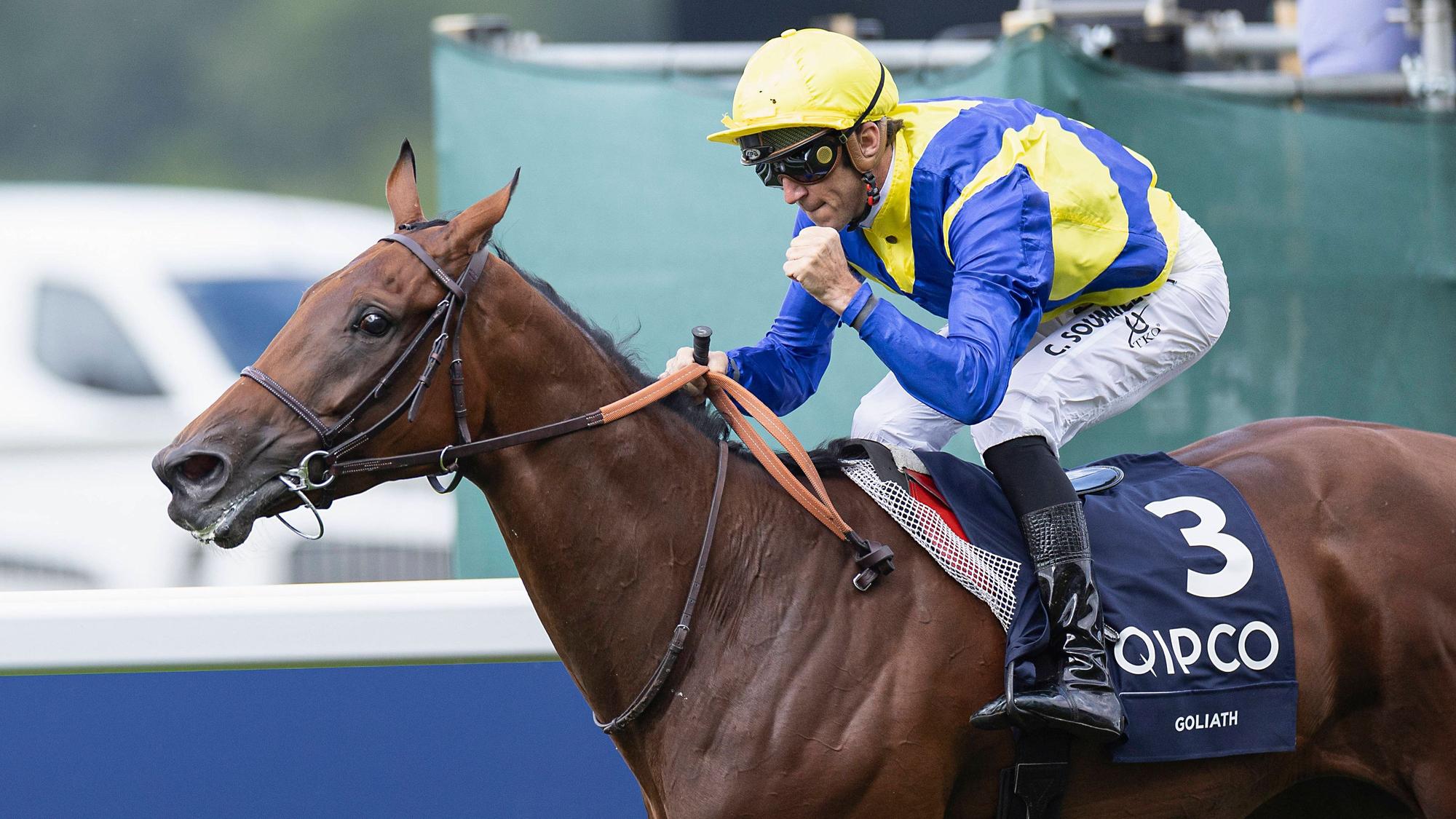 Goliath unter Christophe Soumillon bei seinem sensationellen Sieg in Ascot