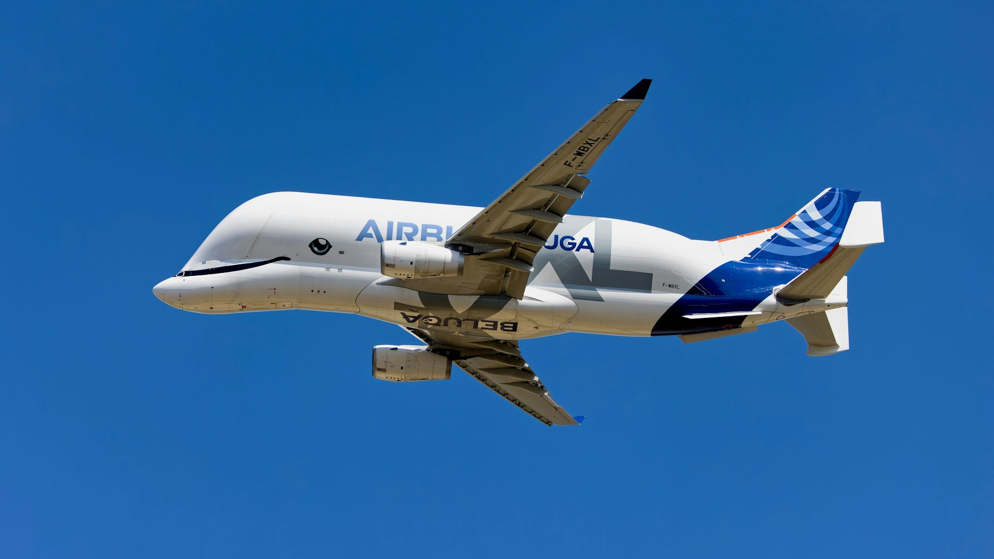 Eine Maschine vom Typ Airbus Beluga XL in der Luft.