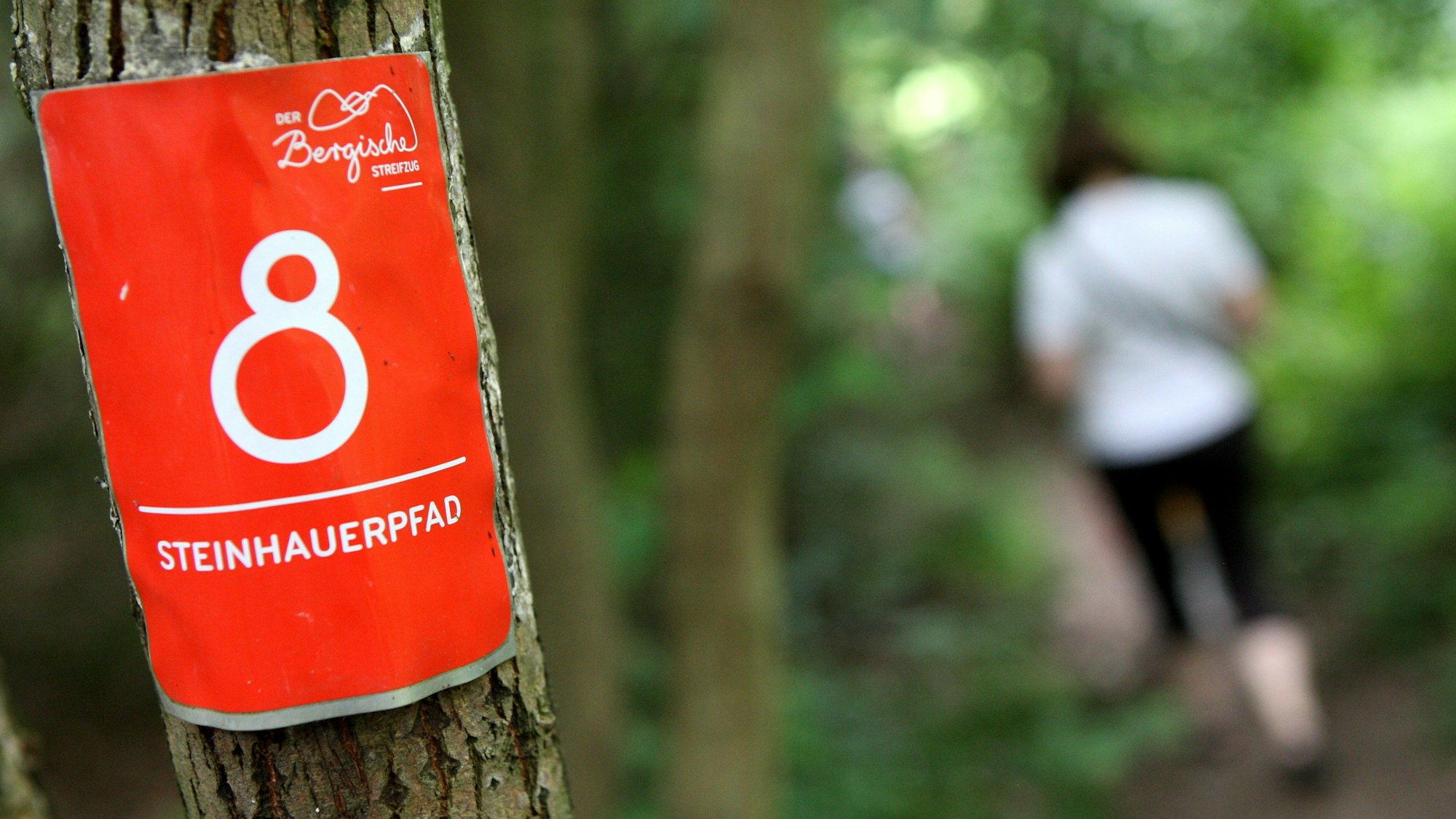 Eine Frau geht an einem Baum mit einer Markierung des Lindlarer Steinhauerpfads vorbei.
