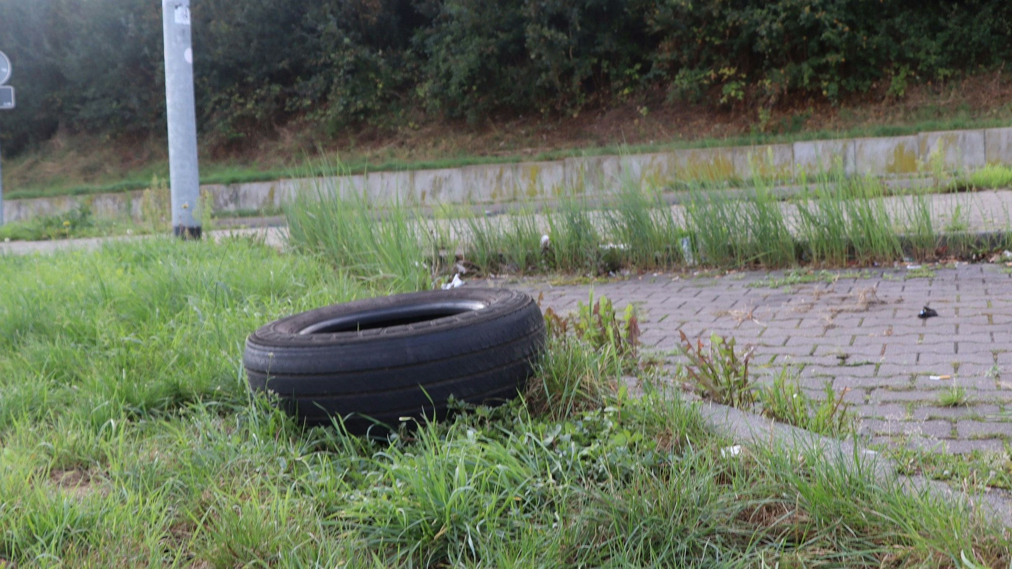 Sogar alte Autoreifen liegen am Rastplatz Frechen Süd in den Anlagen.