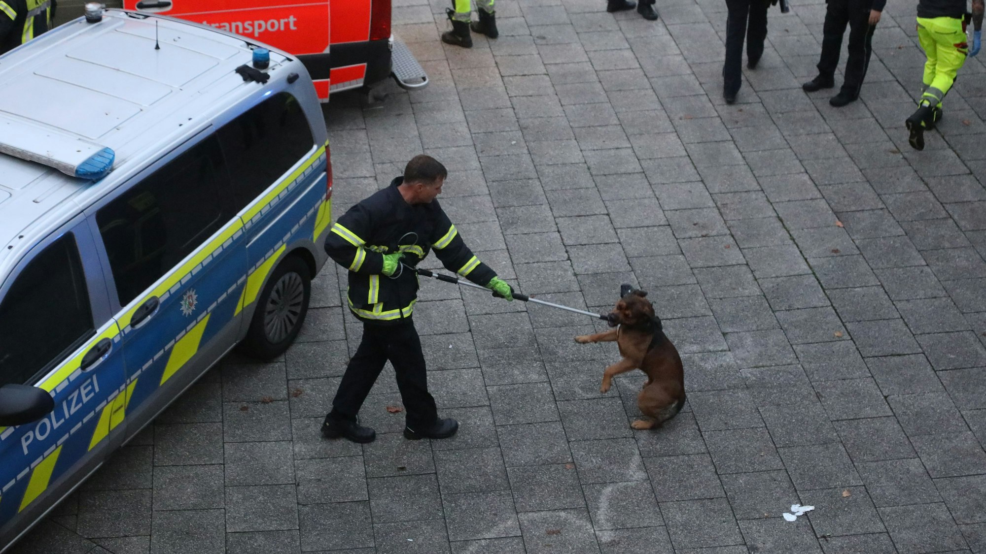 Die Tierrettung der Feuerwehr konnte den Rottweiler auf dem Ebertplatz schließlich einfangen und sichern.