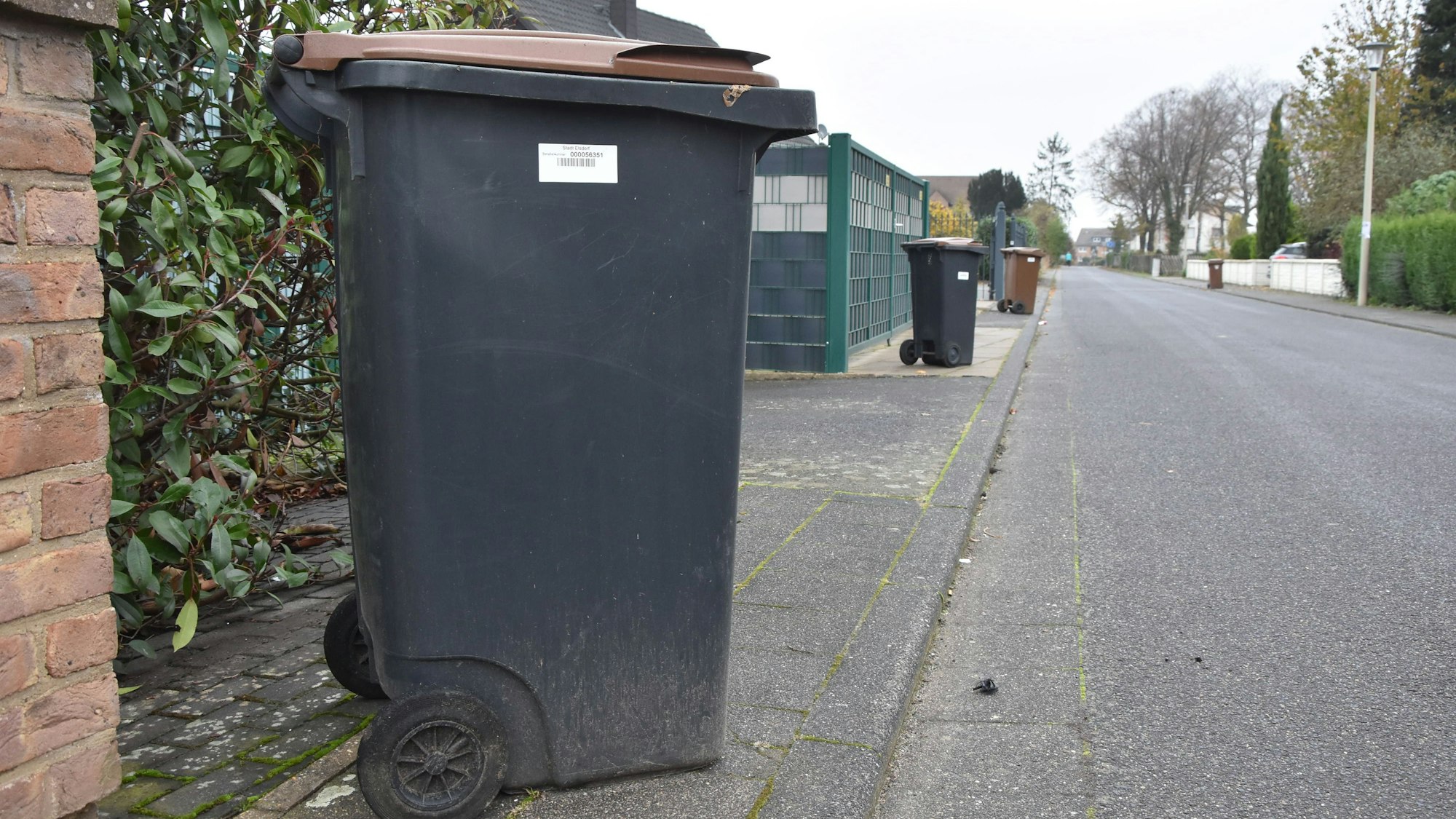 Mülltonnen stehen am Straßenrand.