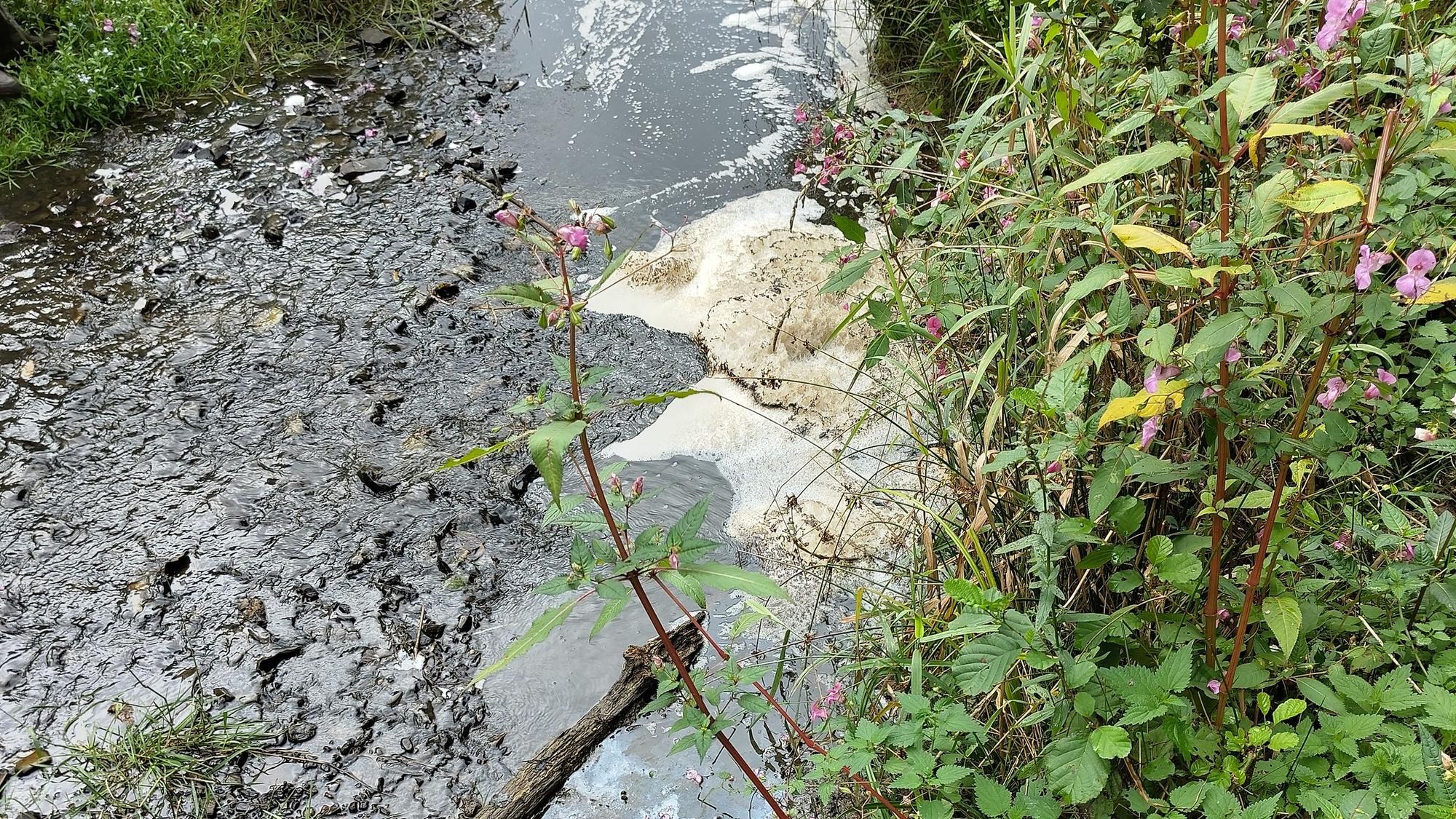 Das Foto zeigt Gülle im Neyebach.