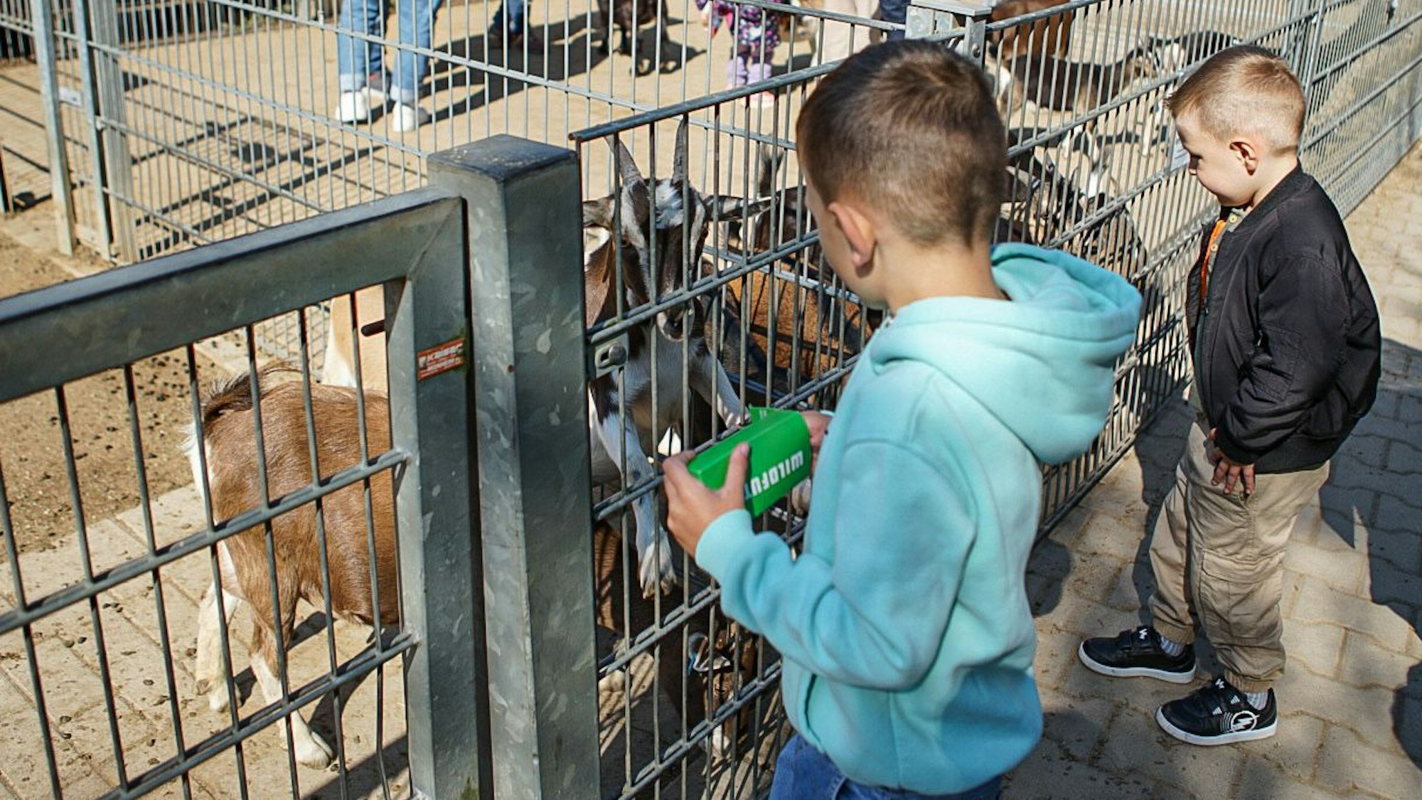 Kinder an einem Ziegengehege im Wildpark Reuschenberg
