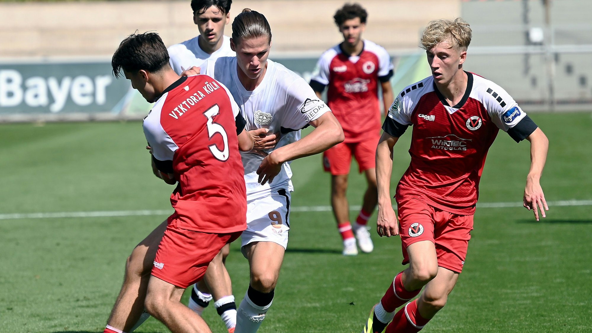 24.08.2024, Fussball-U19-Bayer Leverkusen-Viktoria Köln
mitte: Artem Stepanov (Bayer)
Foto: Uli Herhaus