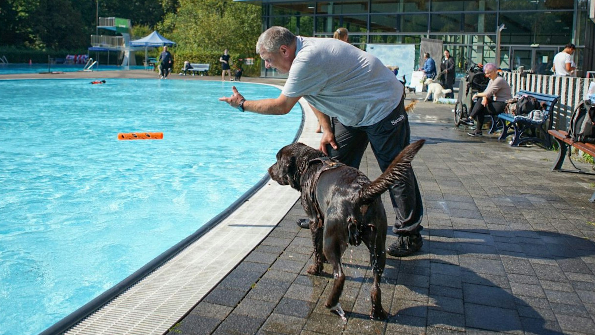 Mann mit Hund am Beckenrand im Freibad Wiembachtal