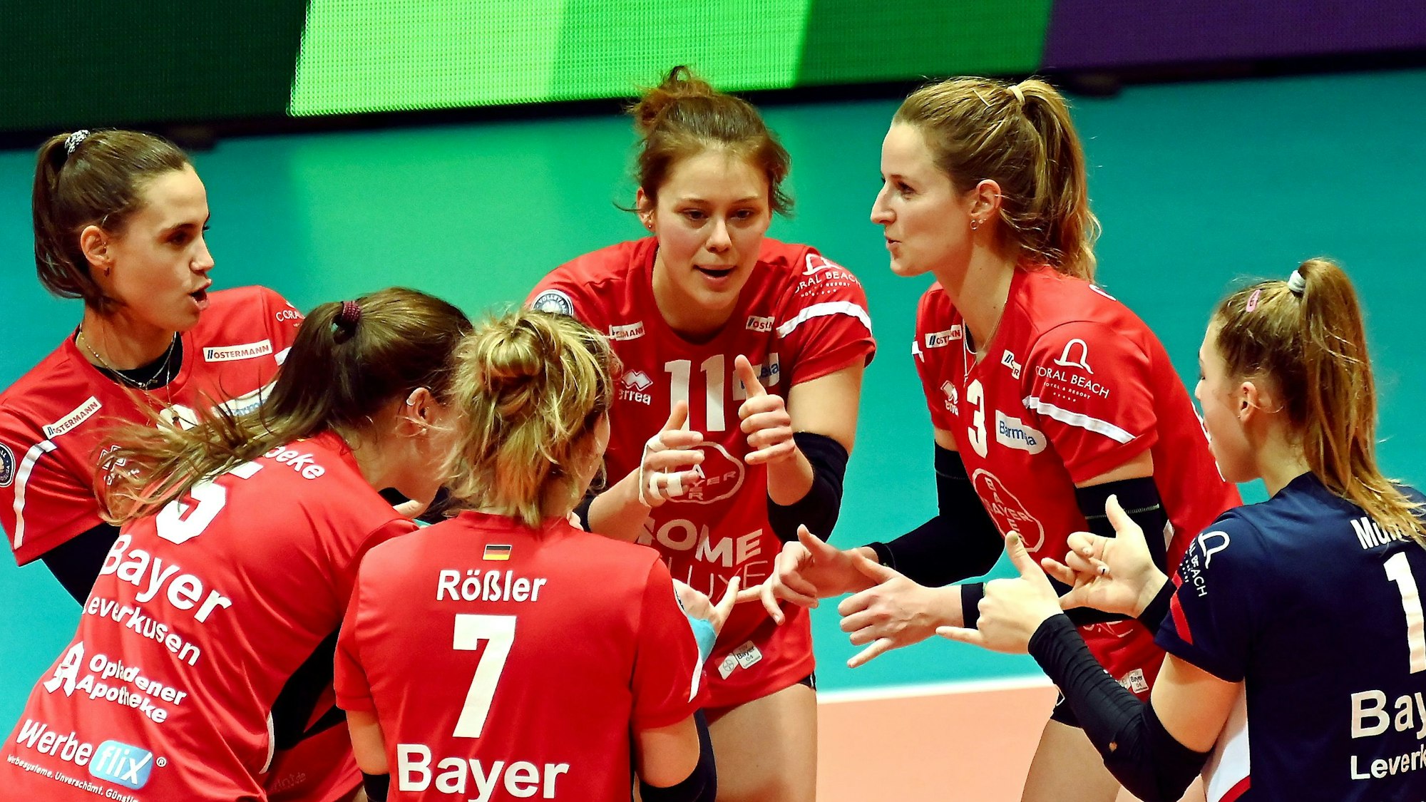 16.12.2023, Volleyball-Bayer Volleys-DSHS Köln
mitte: Svenja Enning (Bayer)
Foto: Uli Herhaus