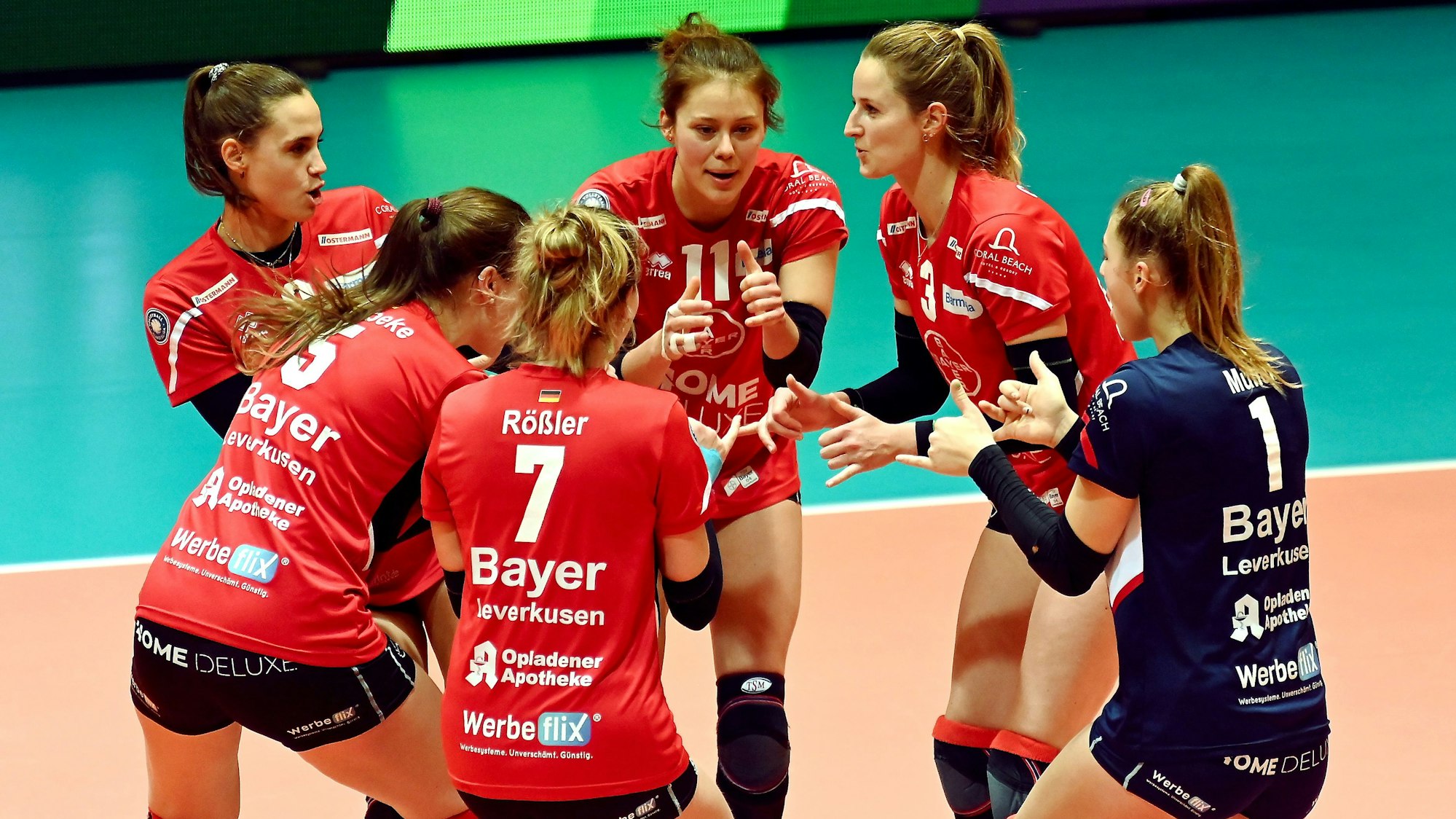 16.12.2023, Volleyball-Bayer Volleys-DSHS Köln
mitte: Svenja Enning (Bayer)
Foto: Uli Herhaus