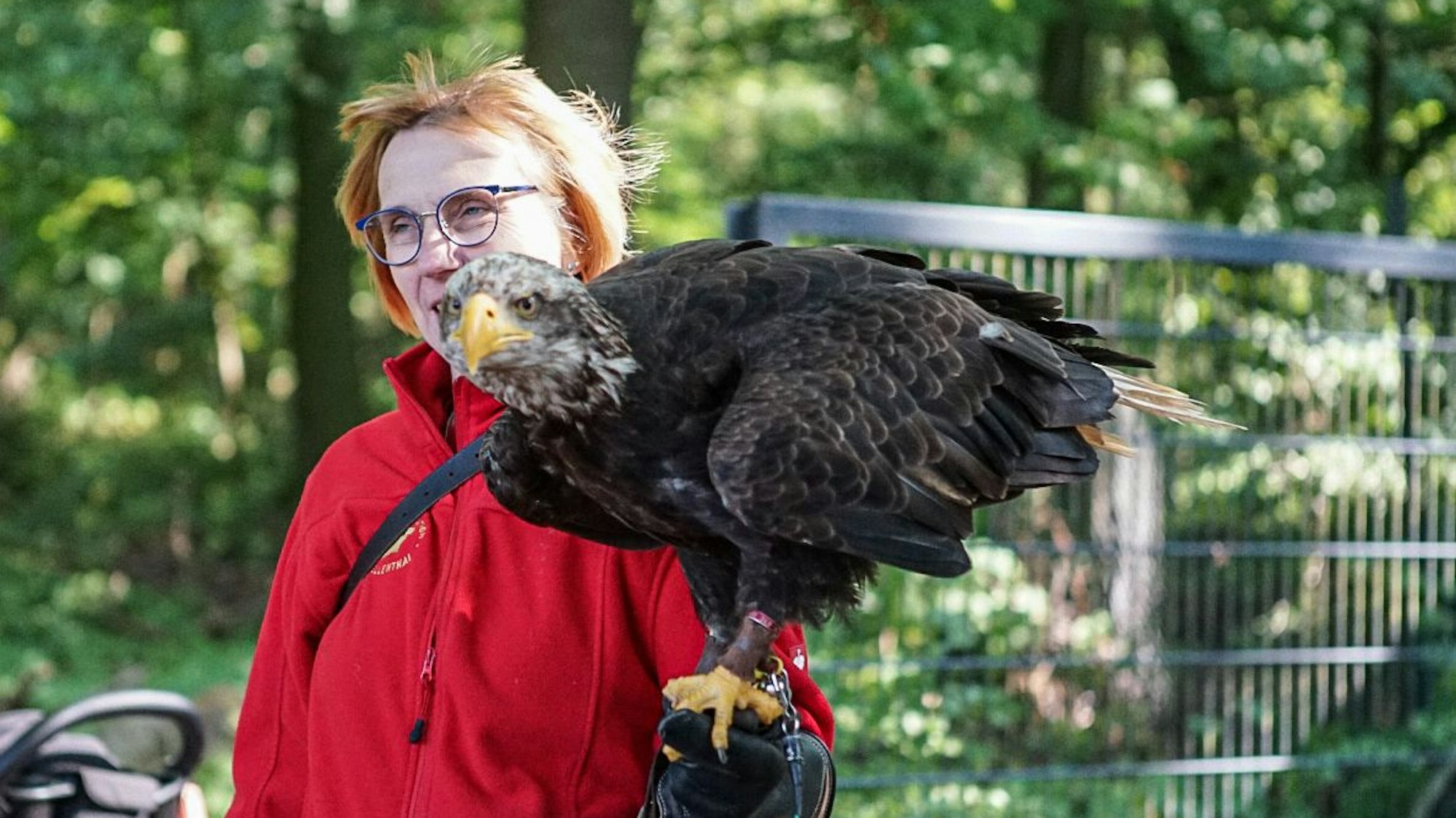 Frau mit Greifvogel im Wildpark Reuschenberg