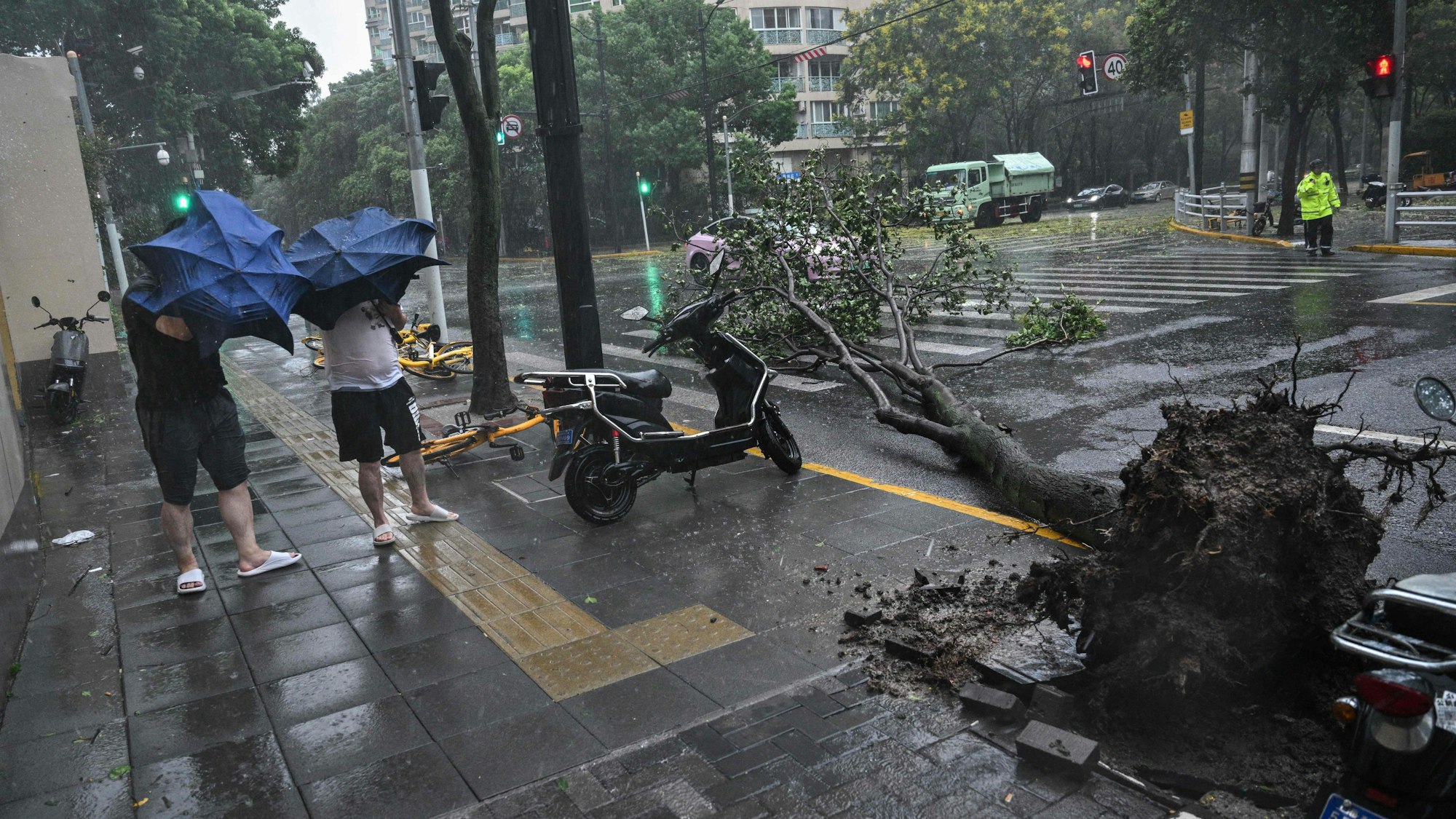 Fußgänger gehen an einem entwurzelten Baum auf einer Straße in Shanghai vorbei.