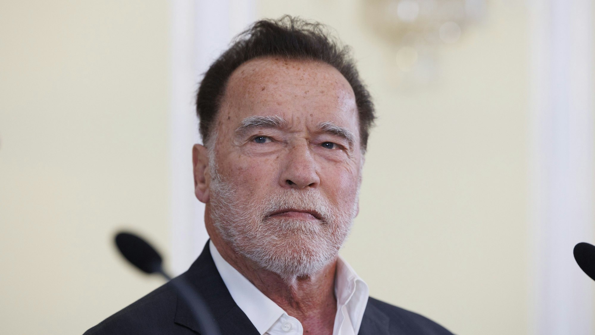 Arnold Schwarzenegger anlässlich der Präsentation einer Büste von Alt-Landeshauptmann Josef Krainer.