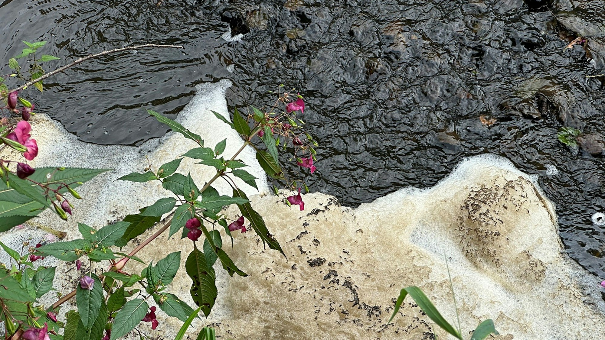 Ein verschmutztes Gewässer.